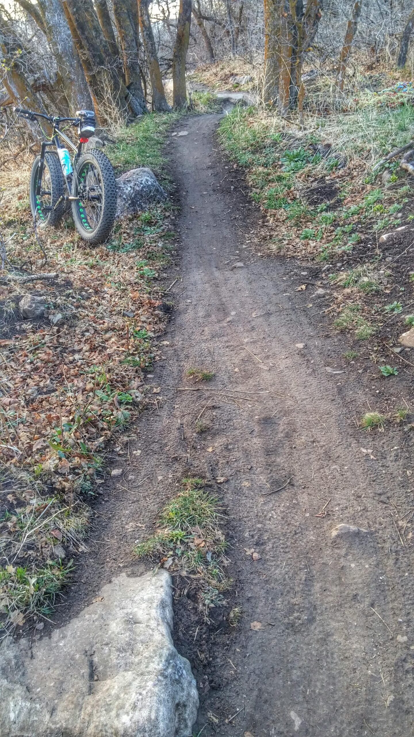 A narrow dirt trail winding through a wooded area, with a fat tire bicycle parked on the left side. The path is bordered by grass and small stones, with trees visible in the background and scattered leaves on the ground. Bonneville Shoreline Trail - Ogden Section mountain bike trail.