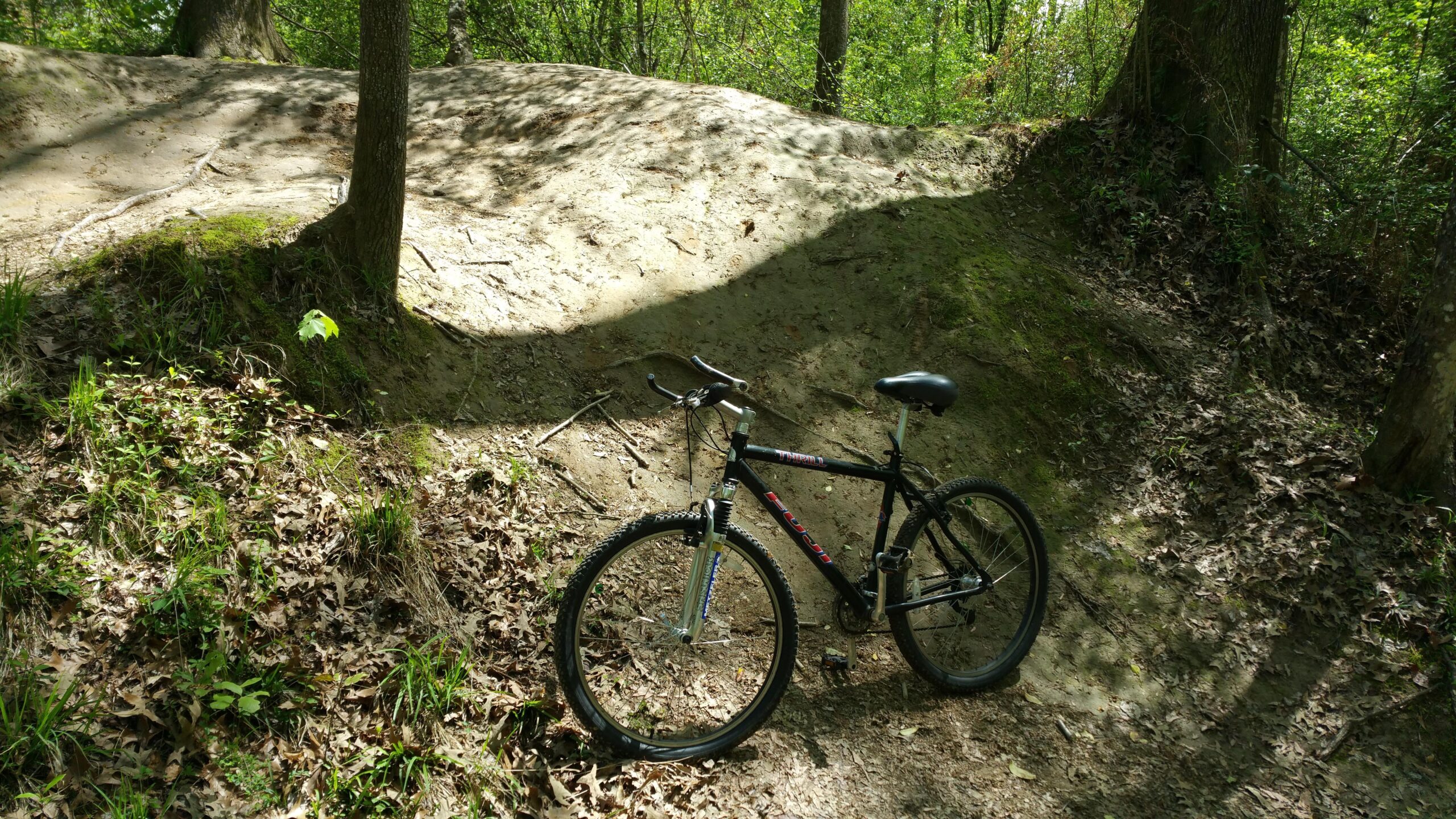 A black mountain bike is leaning against a tree on a dirt trail surrounded by greenery. The terrain includes a sandy slope and patches of grass and dried leaves, suggesting an outdoor cycling area. Sunlight filters through the trees, creating a dappled light effect on the ground. Comite Trails mountain bike trail.