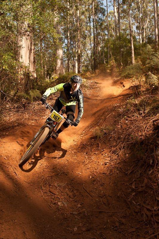A mountain biker expertly navigates a dirt trail surrounded by tall trees, kicking up dust as they lean into a turn. The rider wears a helmet and a brightly colored racing jersey with the number 161 displayed prominently. Sunlight filters through the foliage, highlighting the rugged terrain. Pemberton Mountain Bike Park mountain bike trail.