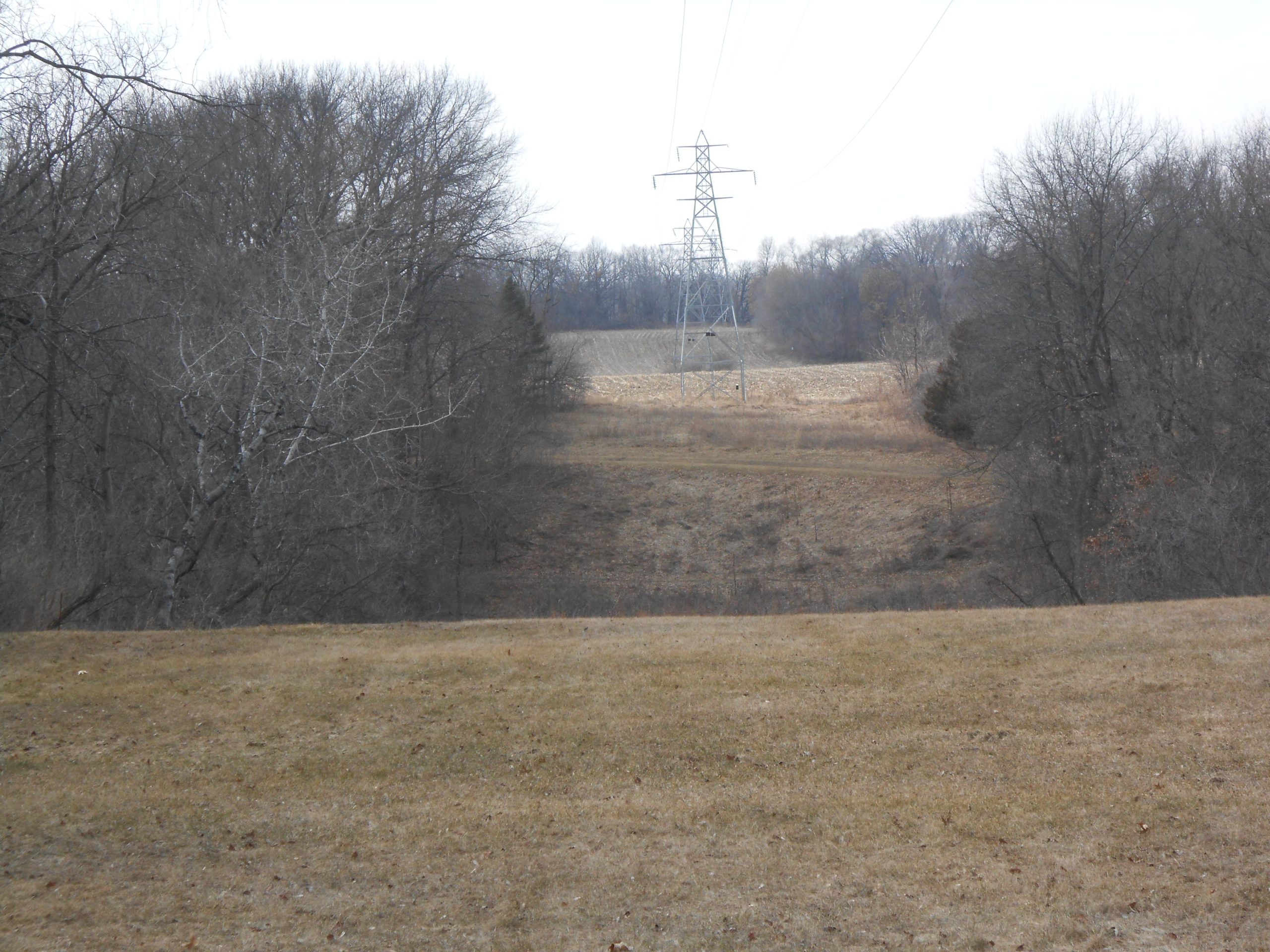 A wide view of a grassy area leading to a line of trees, with a power line tower in the background. The scene is mostly bare, indicating a late autumn or early spring atmosphere, and features a mix of dry grass and sparse vegetation. The sky is overcast, creating a muted light. Rockport Park MTB mountain bike trail.