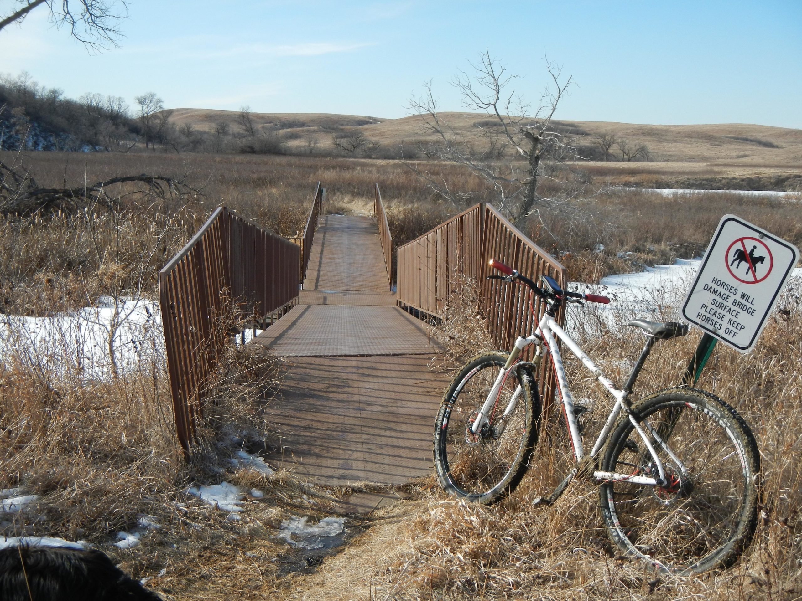 A wooden bridge spans a marshy area, surrounded by tall grasses and a sparse tree line against a backdrop of rolling hills. A mountain bike leans against a sign warning that horses should not cross the bridge to avoid damage. Snow is visible in patches, indicating winter conditions. The clear blue sky adds to the serene outdoor setting. Harmon mountain bike trail.