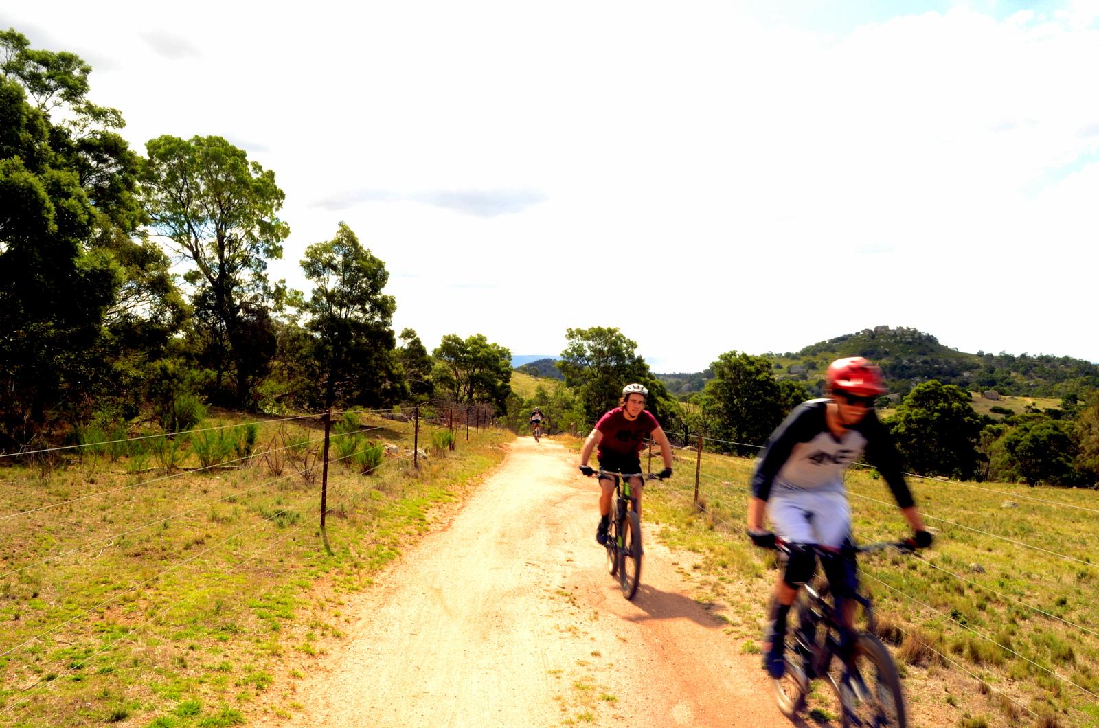 Two mountain bikers riding along a dirt path in a lush, hilly landscape. The scene features green trees lining the trail and a distant hill in the background under a bright sky. You Yangs Regional Park mountain bike trail.