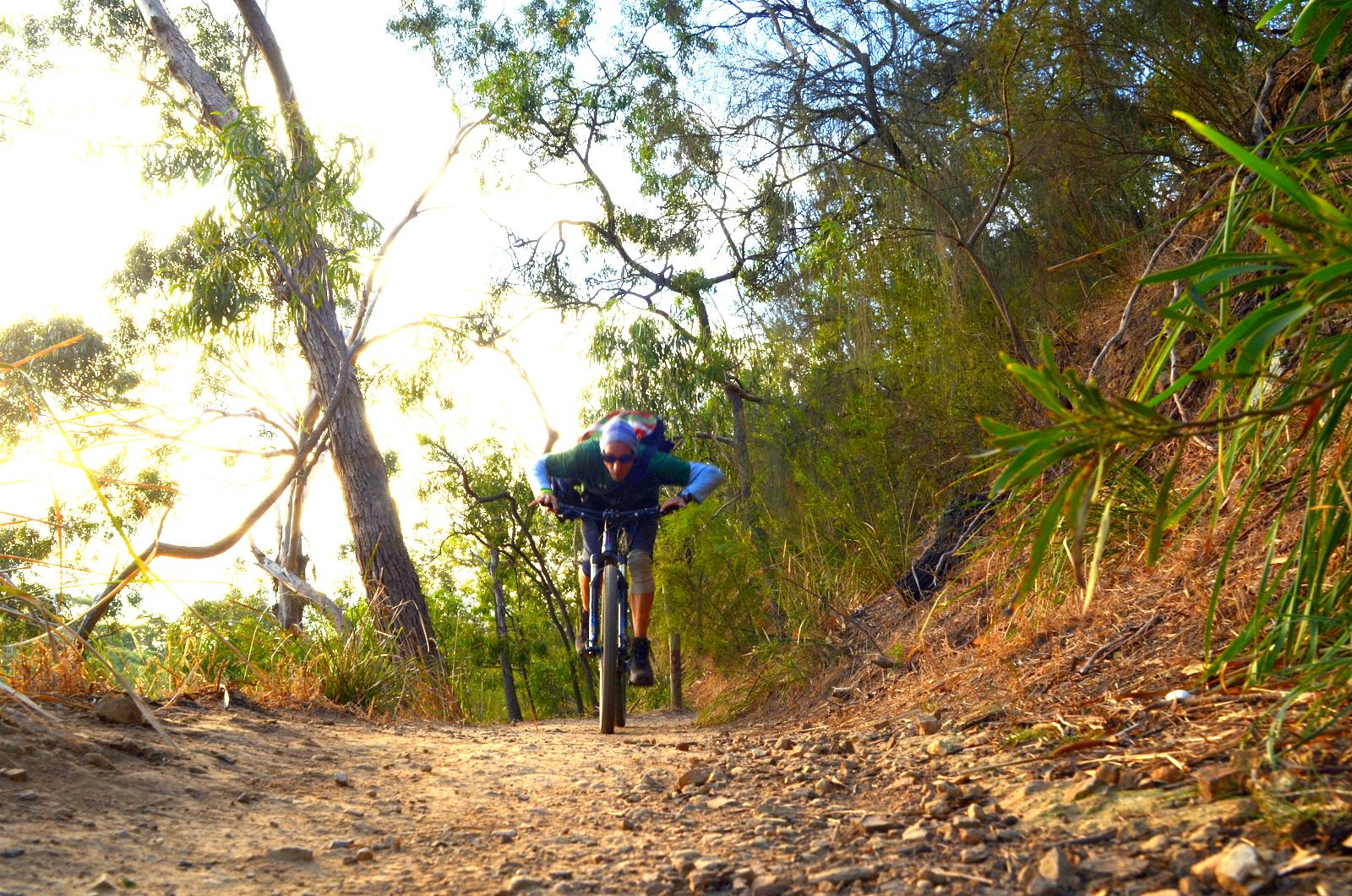 A cyclist in a green shirt and blue sleeves is riding downhill on a dirt path surrounded by trees and vegetation. The sun is shining brightly in the background, creating a warm glow as the rider leans forward, navigating the trail. Yarra Trails mountain bike trail.