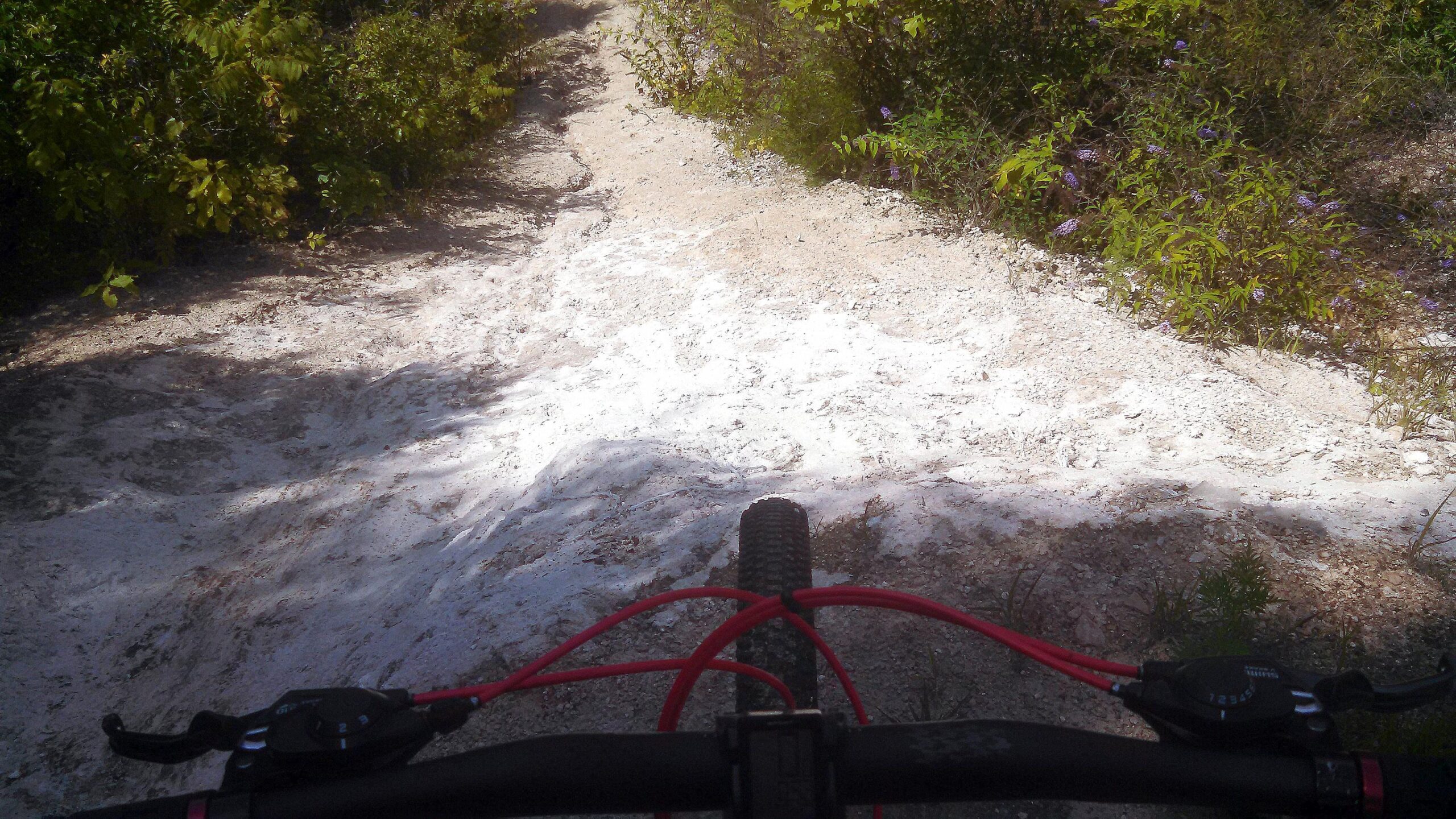 A view from the handlebar of a mountain bike, showing a sandy trail winding through greenery. The path is surrounded by bushes and small flowering plants, indicating a natural outdoor setting. Ijams Nature Centre mountain bike trail.