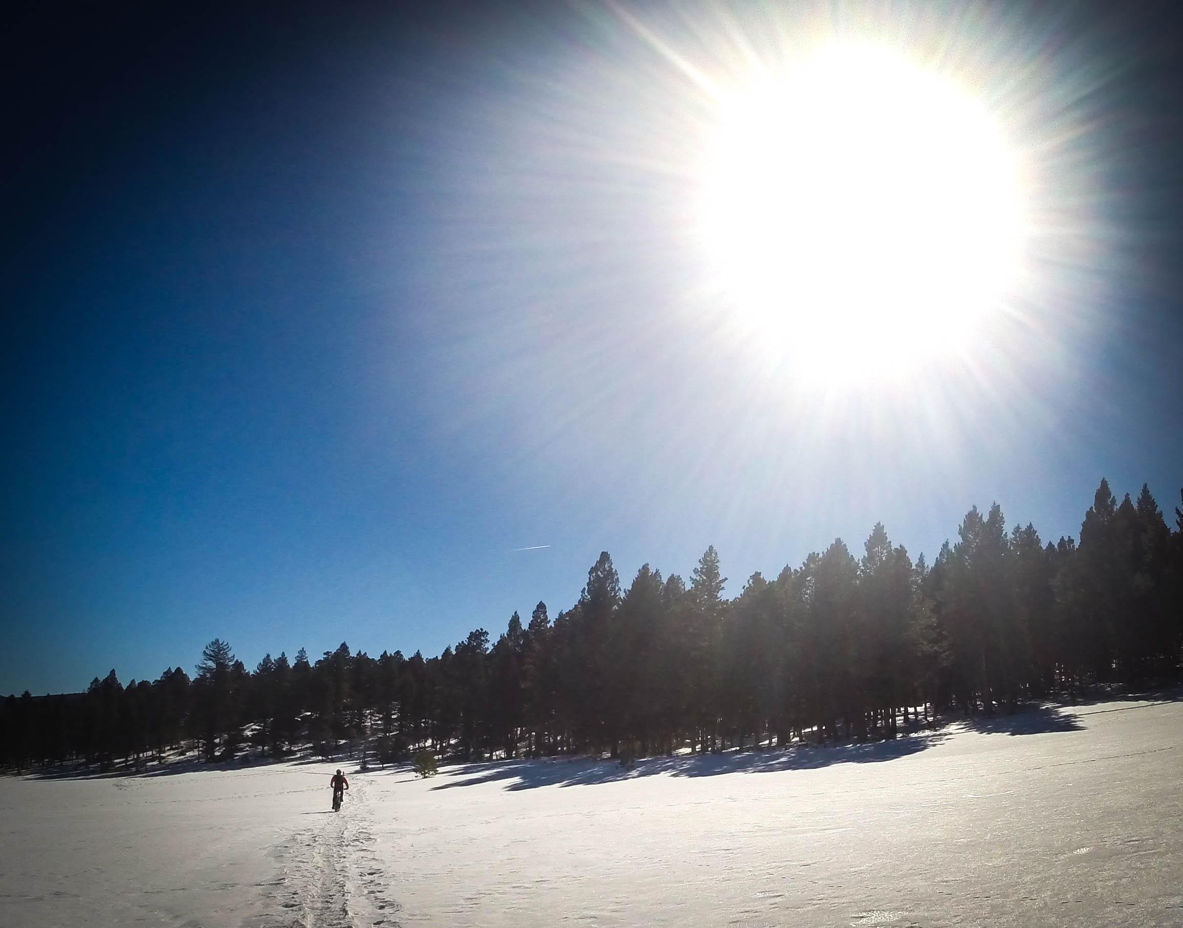 A person walking across a snowy landscape under a bright sun, with a forest of pine trees in the background and a clear blue sky above. 3 Sisters / Alderfer mountain bike trail.