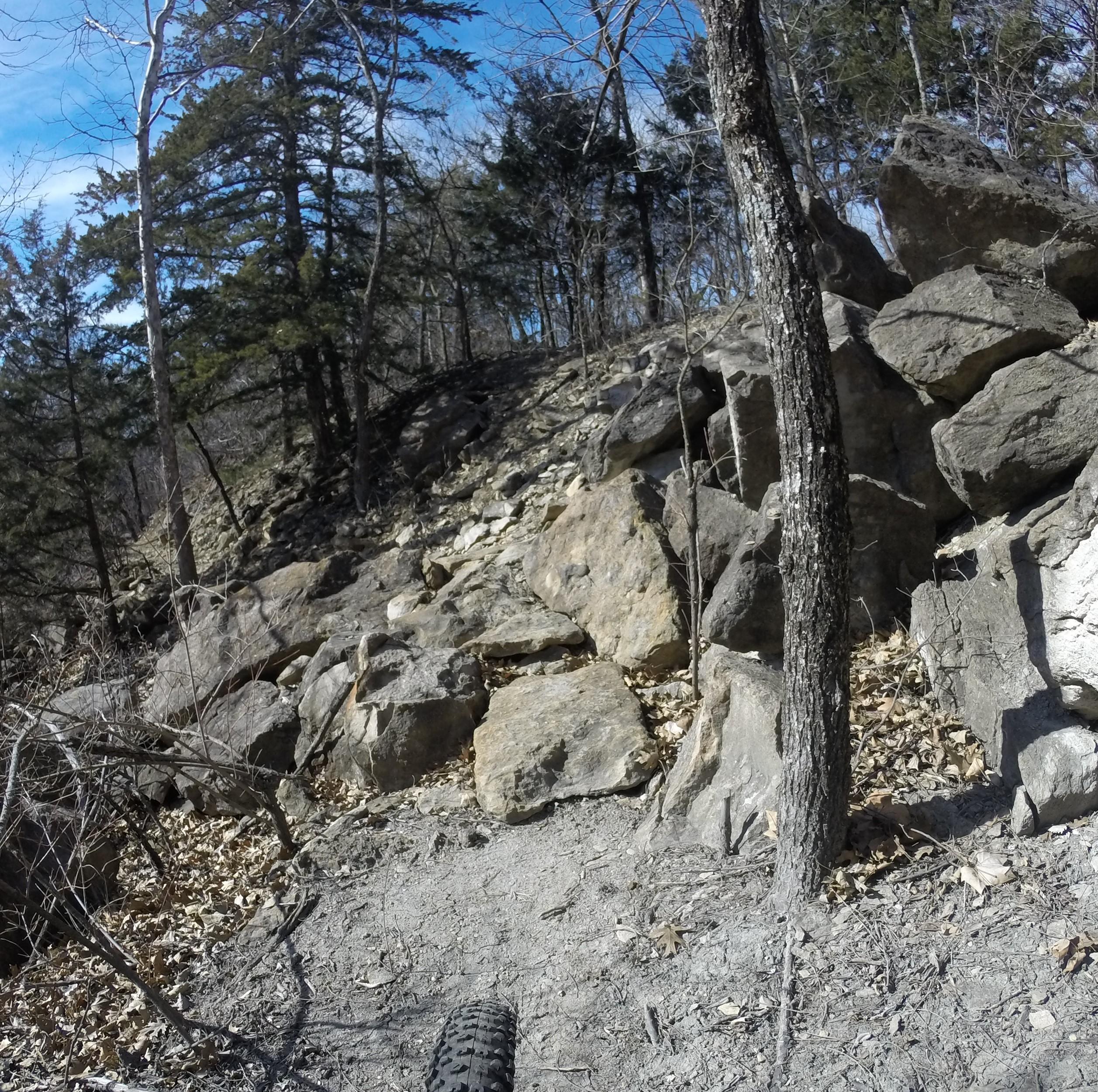 A rocky trail surrounded by trees on a sunny day, showing a close-up view of boulders and dirt. There are some fallen leaves on the ground, and a blurred bicycle tire is visible in the lower corner of the image. Melvern Riverfront Trails mountain bike trail.