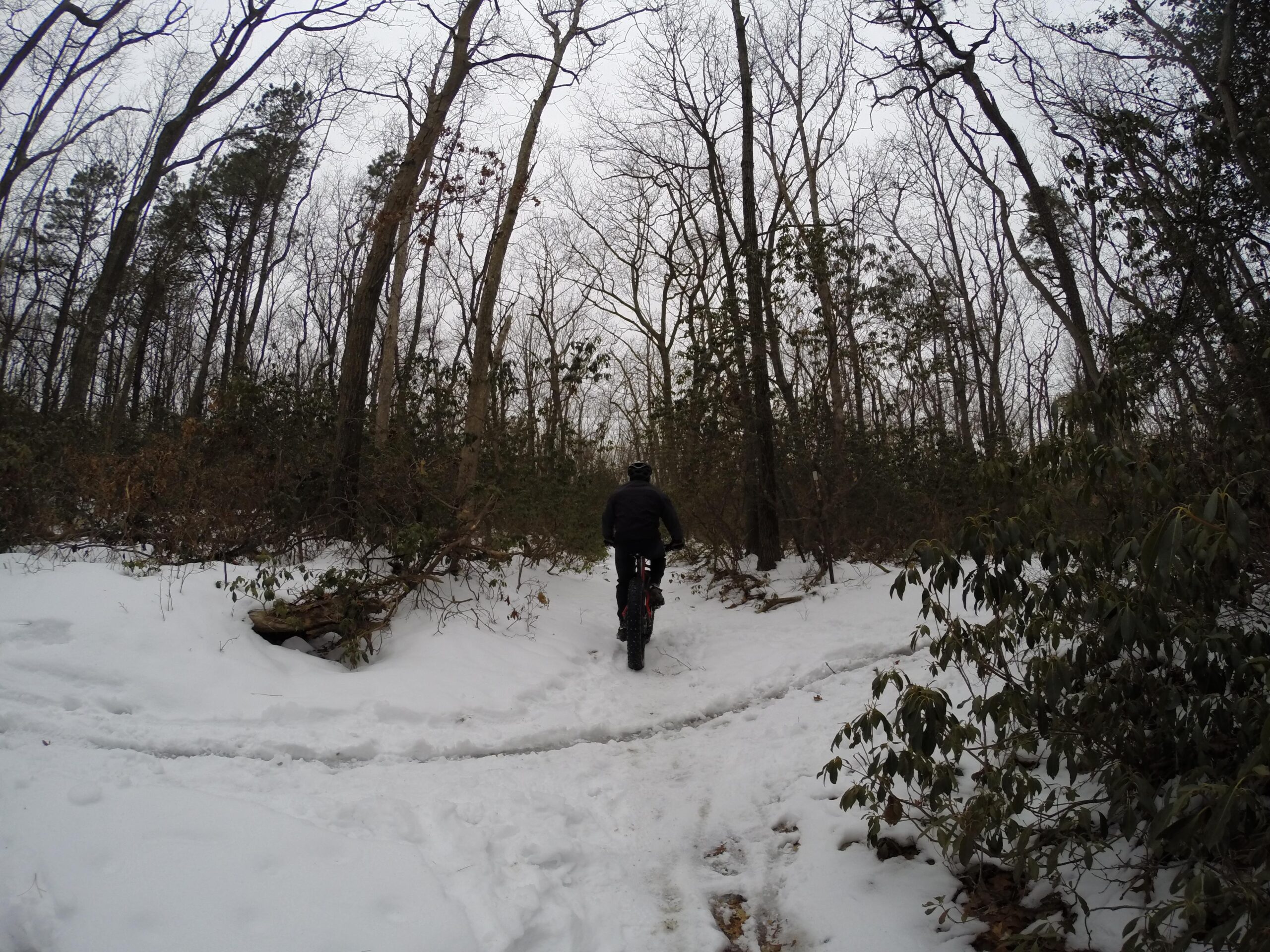 A person riding a bicycle on a snow-covered trail in a wooded area, surrounded by bare trees and patches of greenery. The scene captures a winter landscape with a cloudy sky. Allaire State Park mountain bike trail.
