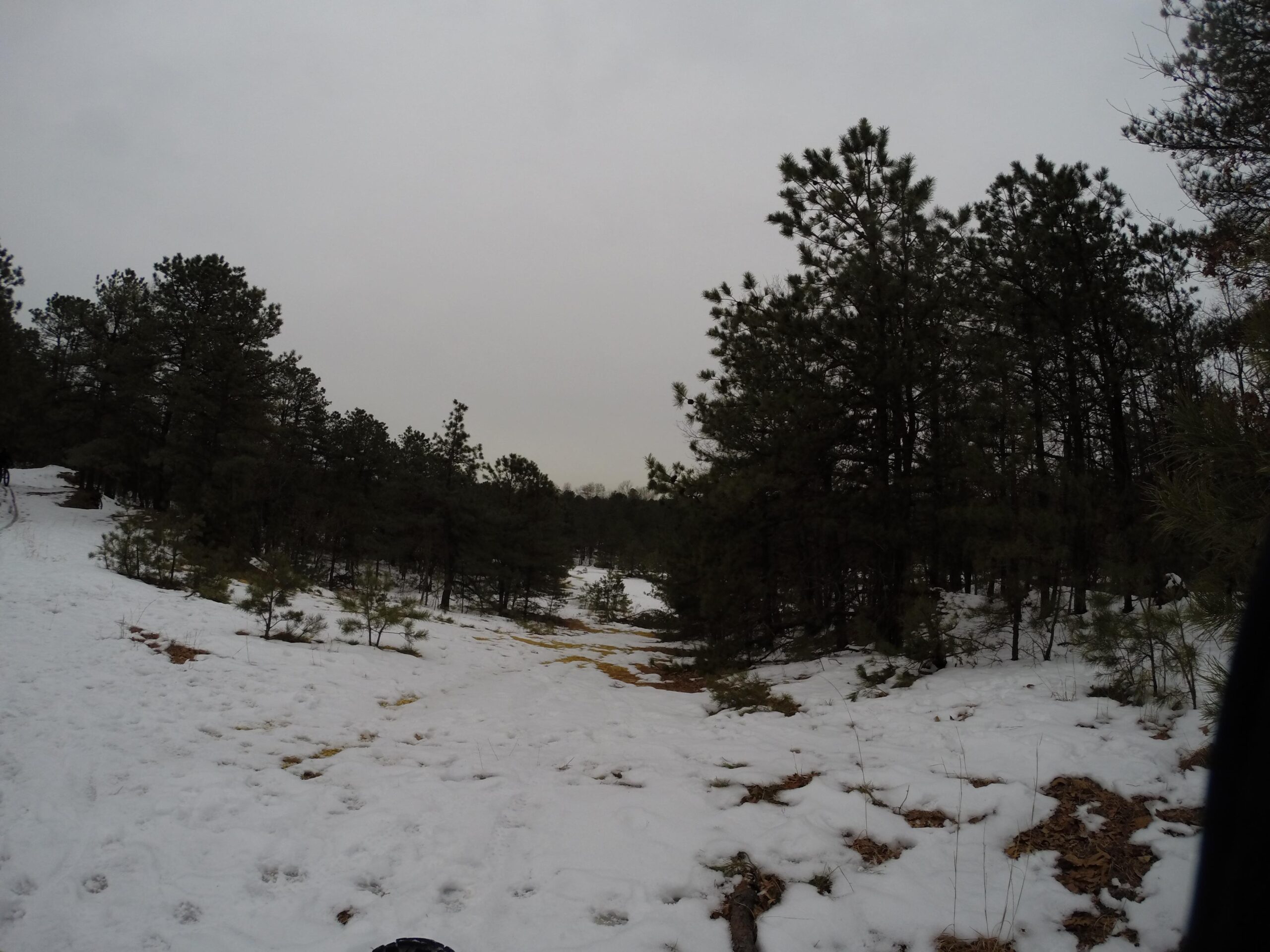 A snowy landscape with scattered patches of snow covering the ground, surrounded by tall evergreen trees under a cloudy sky. The scene captures a serene, wintry forest area, with a hint of a path visible through the snow. Allaire State Park mountain bike trail.