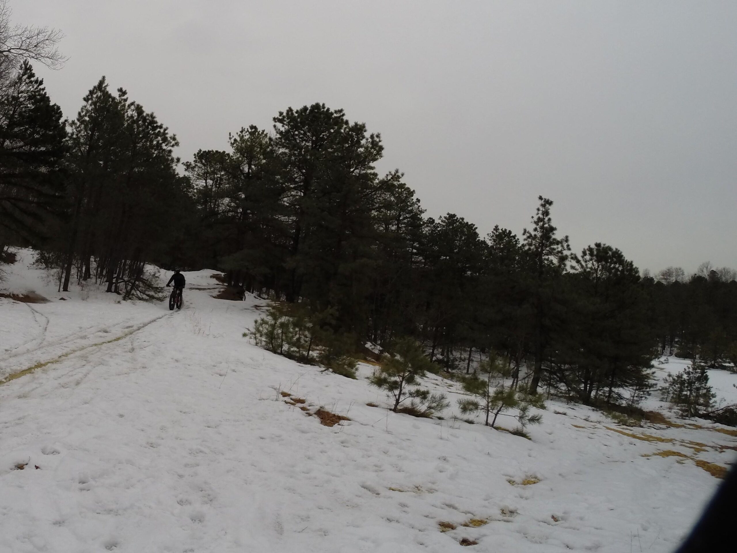 A cyclist riding along a snowy trail in a forested area, surrounded by tall pine trees under a cloudy sky. Allaire State Park mountain bike trail.
