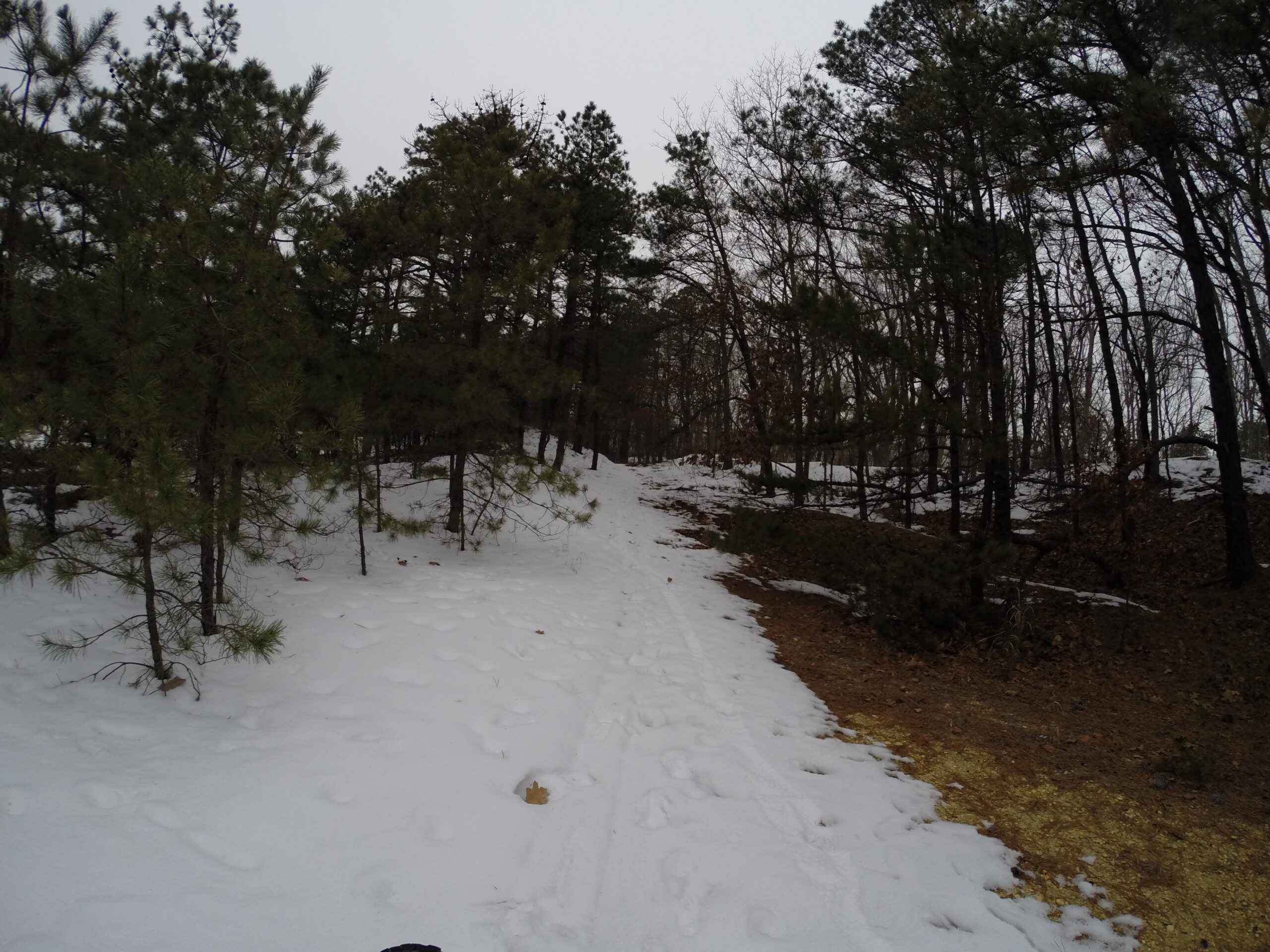 A snow-covered trail winding through a forest, flanked by evergreen trees on either side. The path leads toward a wooded area in the distance, with patches of bare ground visible along the edges. The sky is overcast, creating a muted atmosphere. Allaire State Park mountain bike trail.