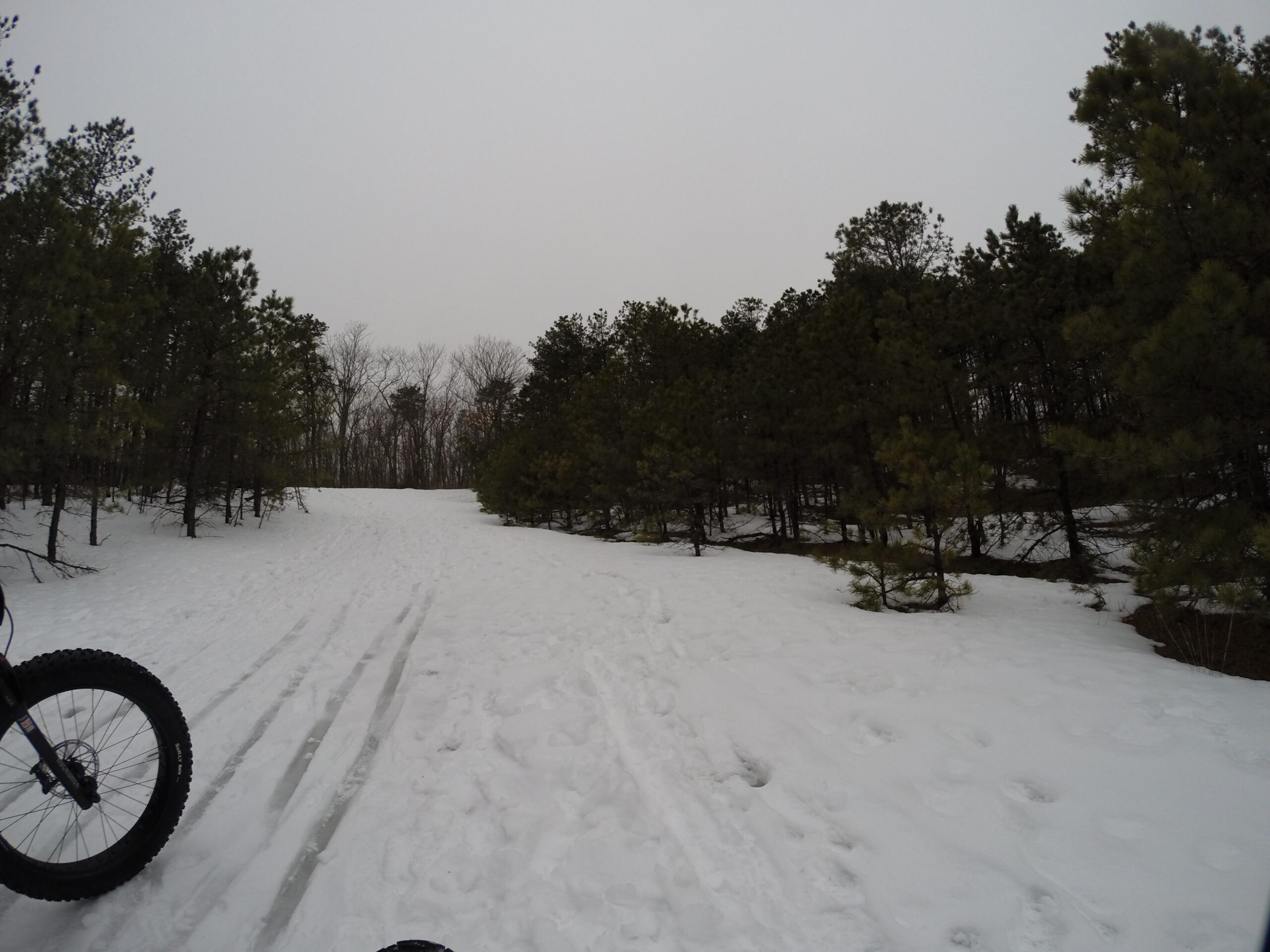A snow-covered path winding through a forest of pine trees. The ground shows tire tracks in the snow, indicating recent activity. The sky is overcast, creating a serene and quiet winter landscape. Allaire State Park mountain bike trail.