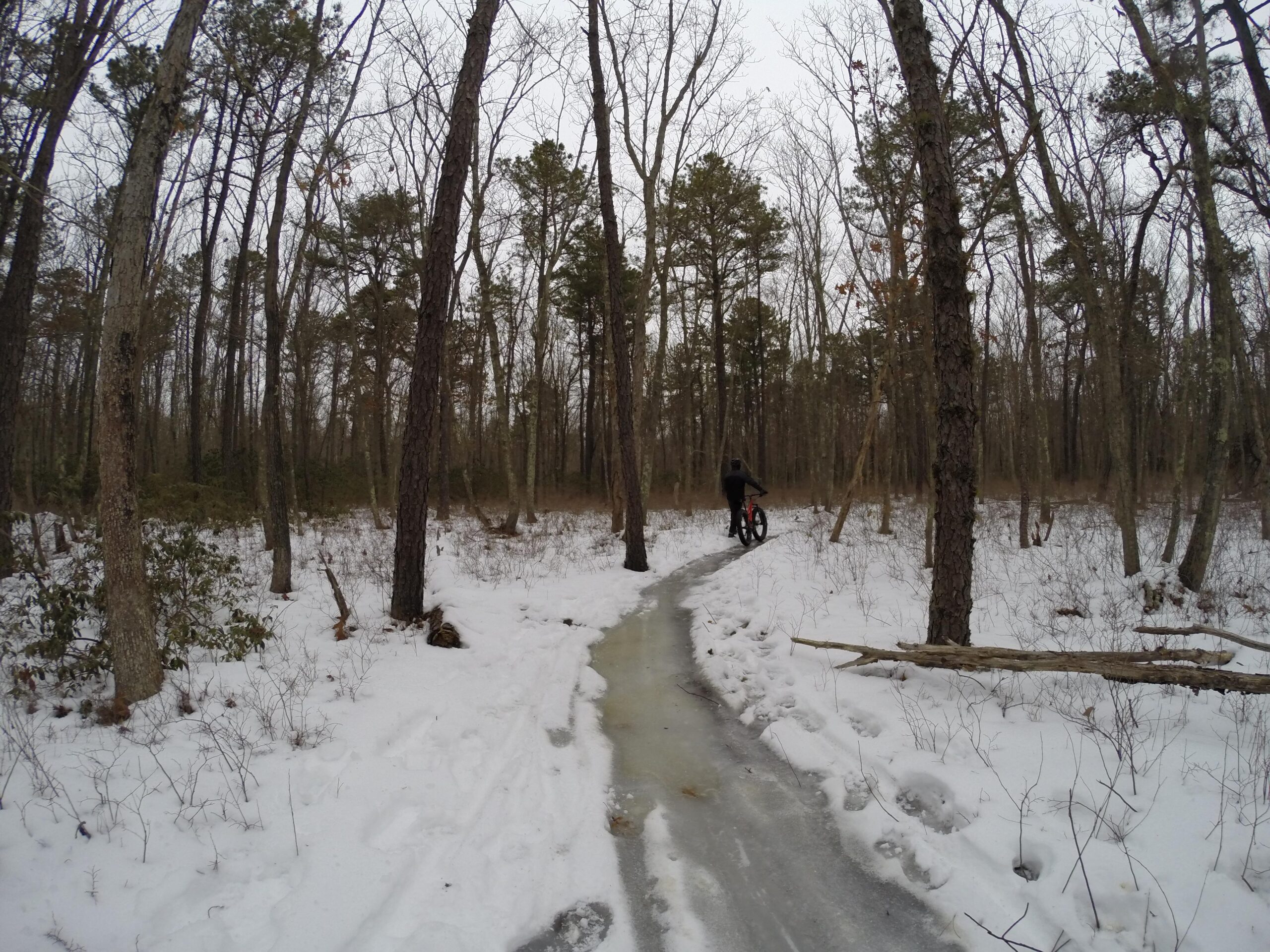 A cyclist riding a mountain bike on a snowy, icy trail through a forested area. The trees are bare and tall, indicating a winter season, while patches of snow cover the ground along the path. A few evergreen trees can be seen in the background, and the sky is overcast, enhancing the cool winter atmosphere. Allaire State Park mountain bike trail.