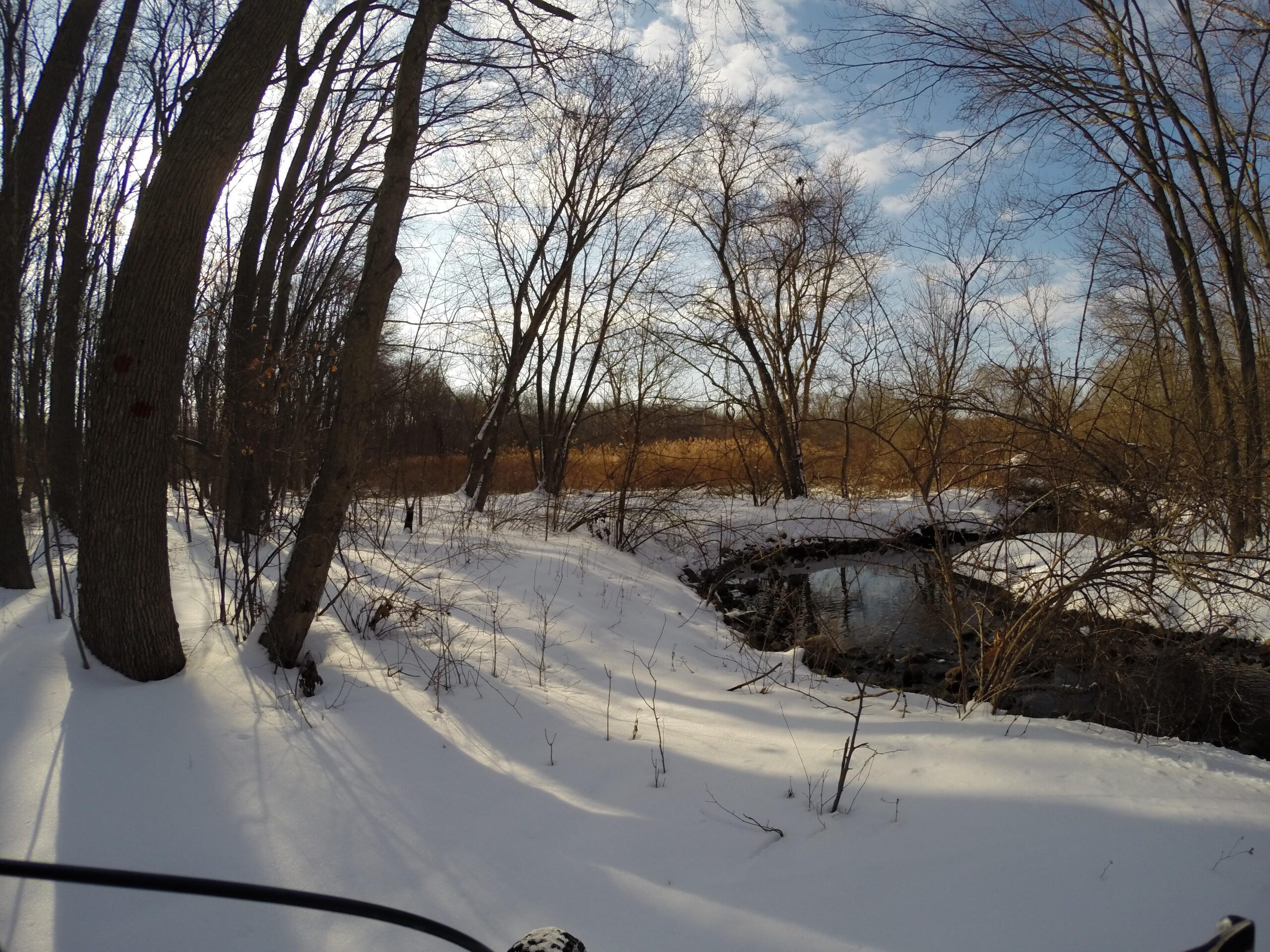 A winter landscape featuring a snowy path winding through a forest with tall, bare trees. In the foreground, a gently flowing stream is partially visible, surrounded by untouched snow and sparse vegetation. The sky is partly cloudy, casting soft shadows on the ground. Wolfes Pond park mountain bike trail.