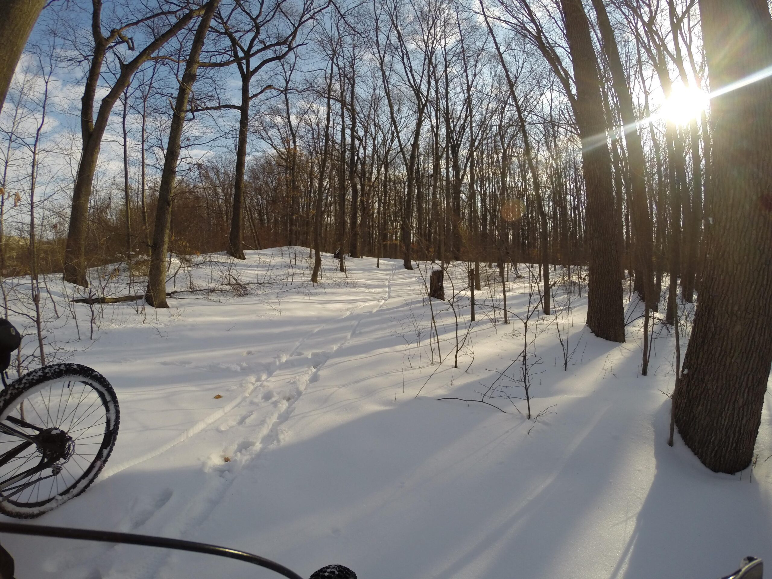 A snowy forest trail with bare trees under a bright sky. In the foreground, part of a bicycle wheel is visible, indicating a bike ride through the winter landscape. Sunlight filters through the trees, creating a serene atmosphere. Wolfes Pond park mountain bike trail.