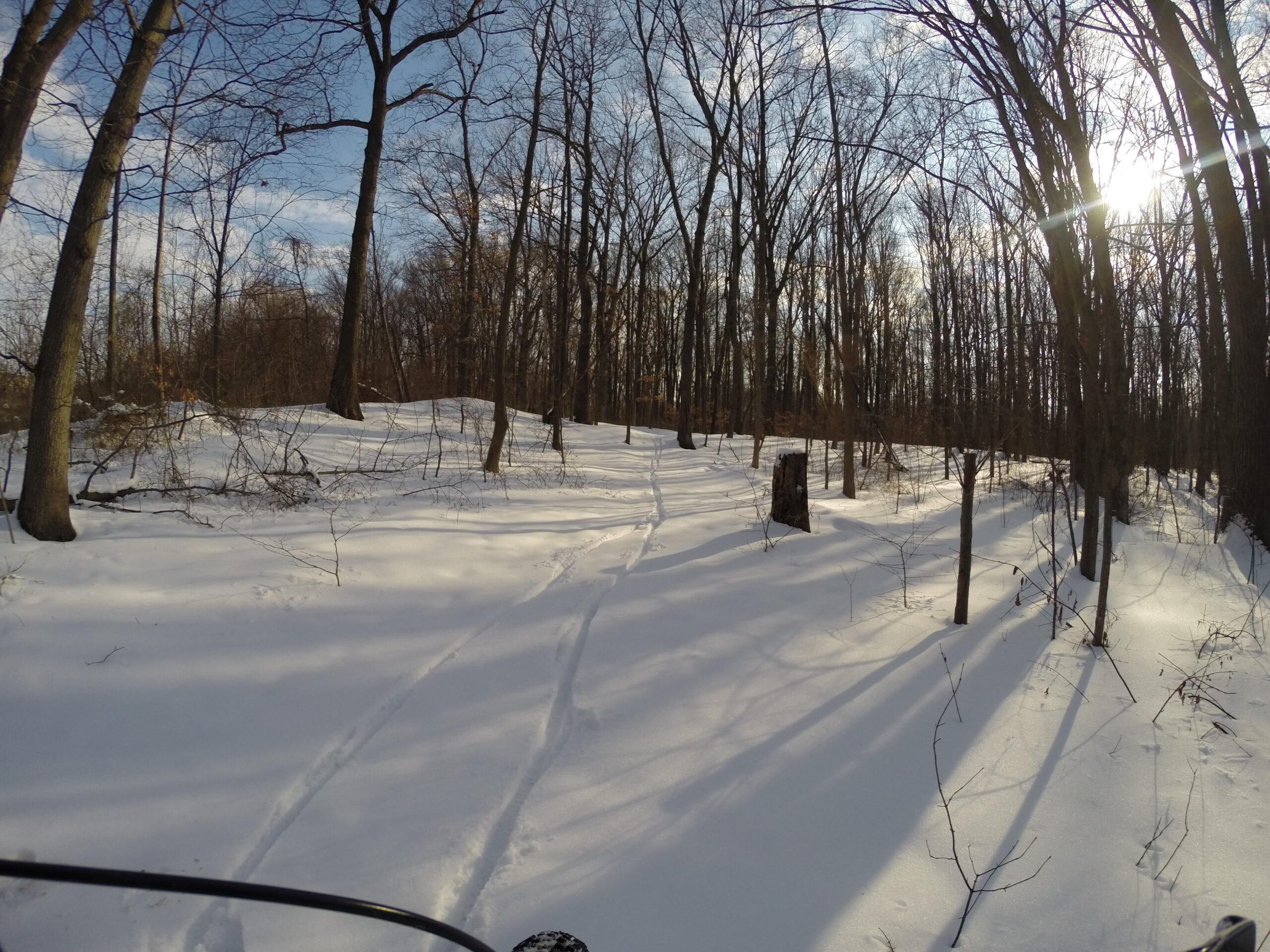 A snowy forest scene with tall, bare trees casting long shadows on the ground. Footprints or ski tracks are visible in the fresh snow, indicating an outdoor activity. The sky is partly cloudy with sunlight breaking through, creating a serene winter atmosphere. Wolfes Pond park mountain bike trail.