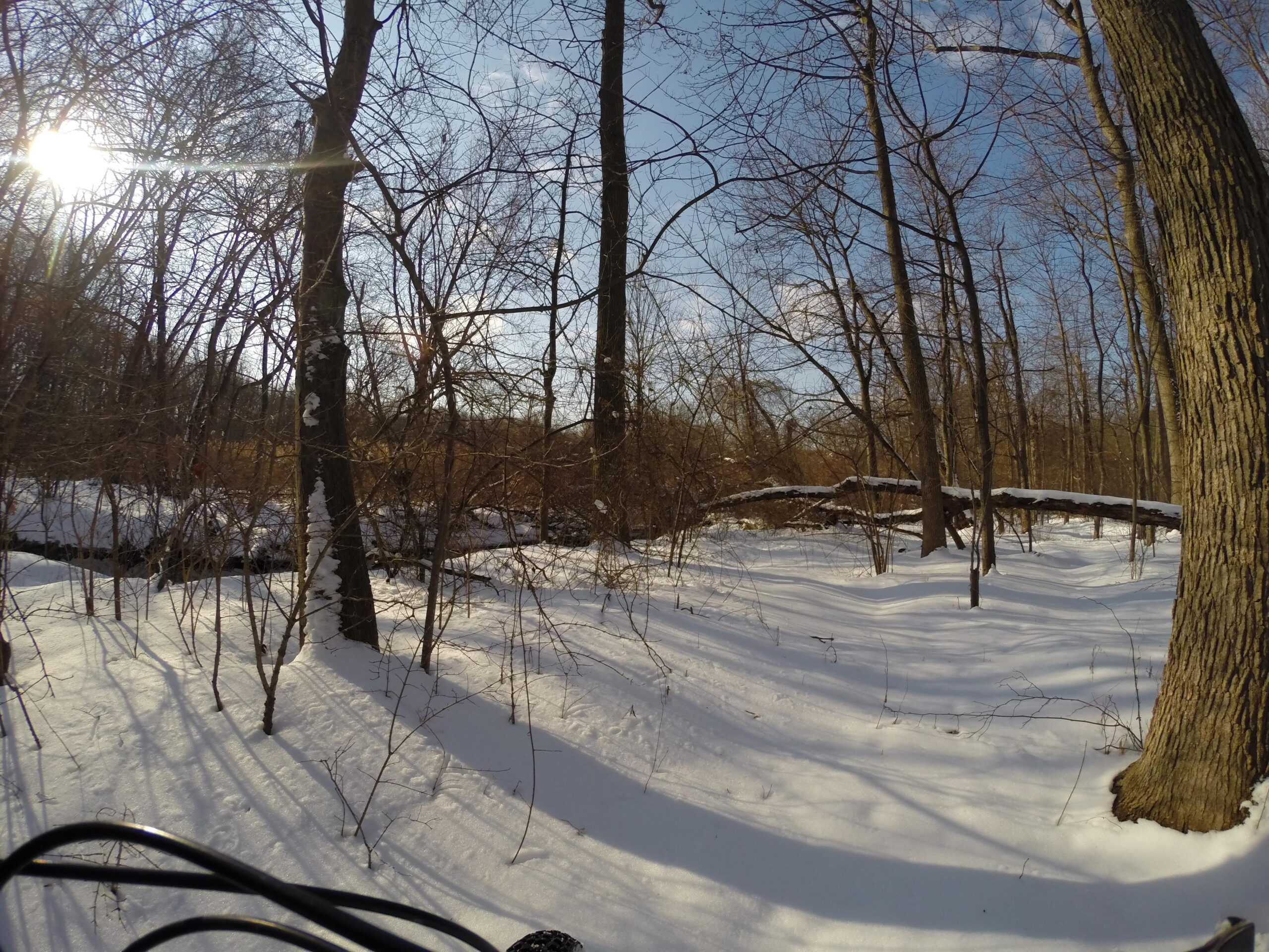 A winter scene in a wooded area, featuring bare trees and a snowy landscape. The sunlight shines through the trees, creating shadows in the snow. A fallen log is visible in the background, adding to the serene atmosphere of the setting. Wolfes Pond park mountain bike trail.
