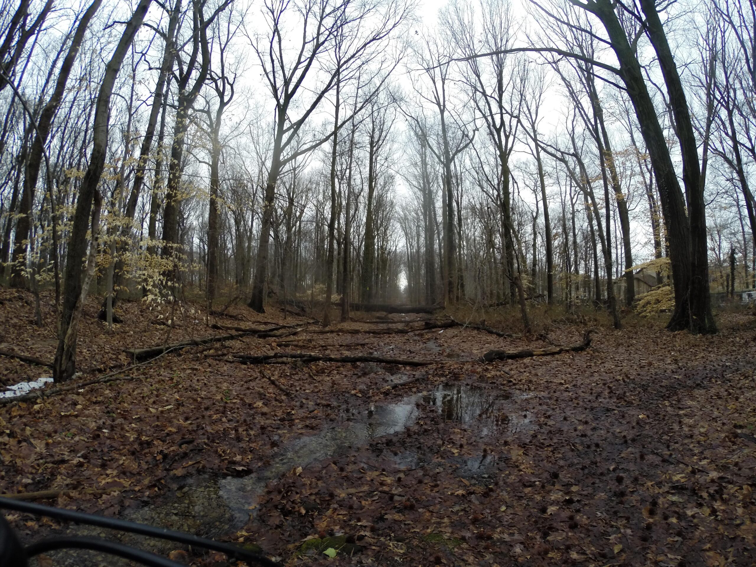 A forest scene with bare trees and fallen branches, covered in a carpet of brown leaves. The ground is damp with patches of water, indicating recent rainfall. A hint of fog or mist lingers in the air, creating a serene, overcast atmosphere. The image captures a pathway leading deeper into the woods. Trails seperated by streets mountain bike trail.