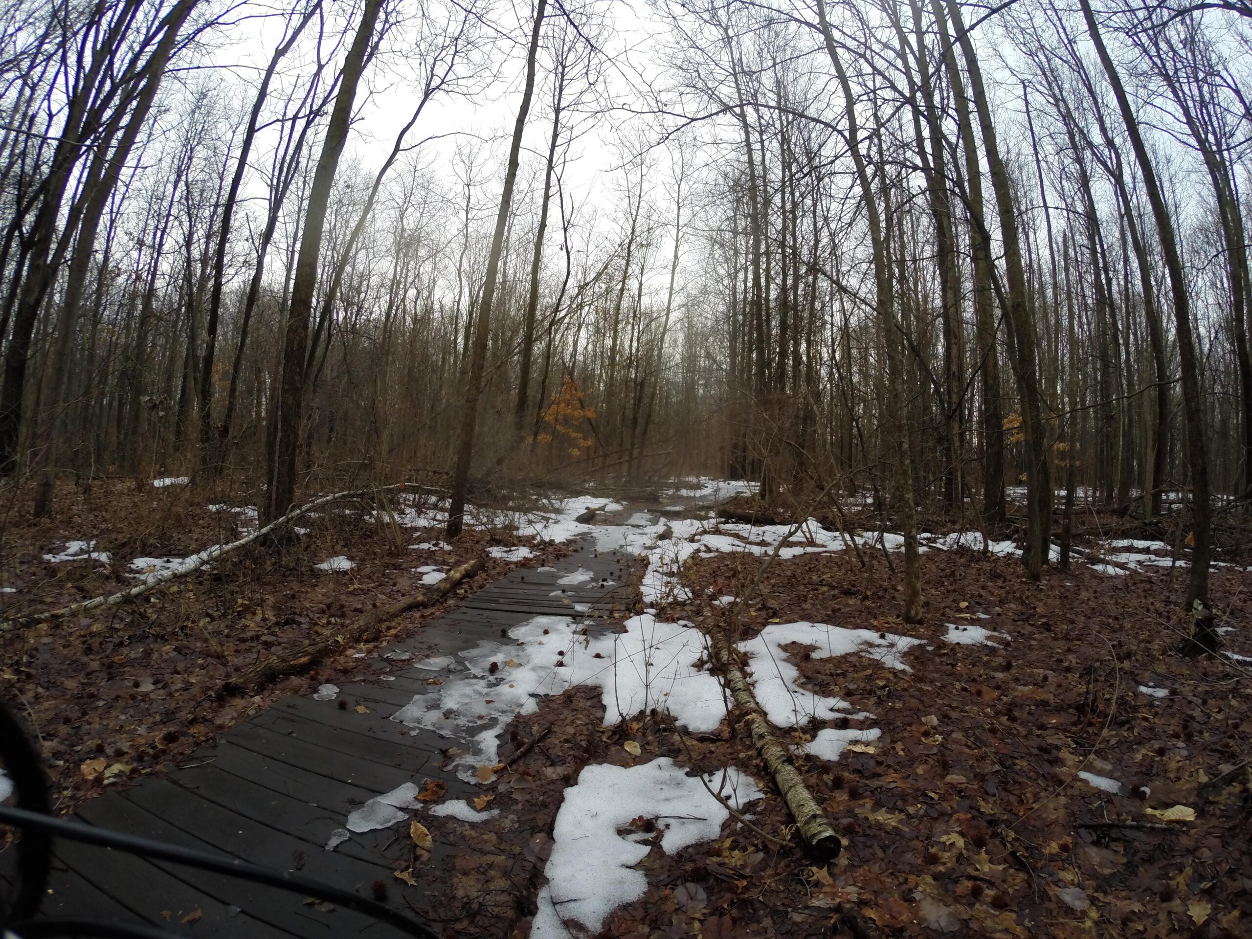 A wooden boardwalk traversing a forested area, surrounded by bare trees and patches of snow on the ground. The scene is dimly lit with overcast skies, and fallen leaves cover the ground, creating a natural, tranquil atmosphere. Trails seperated by streets mountain bike trail.