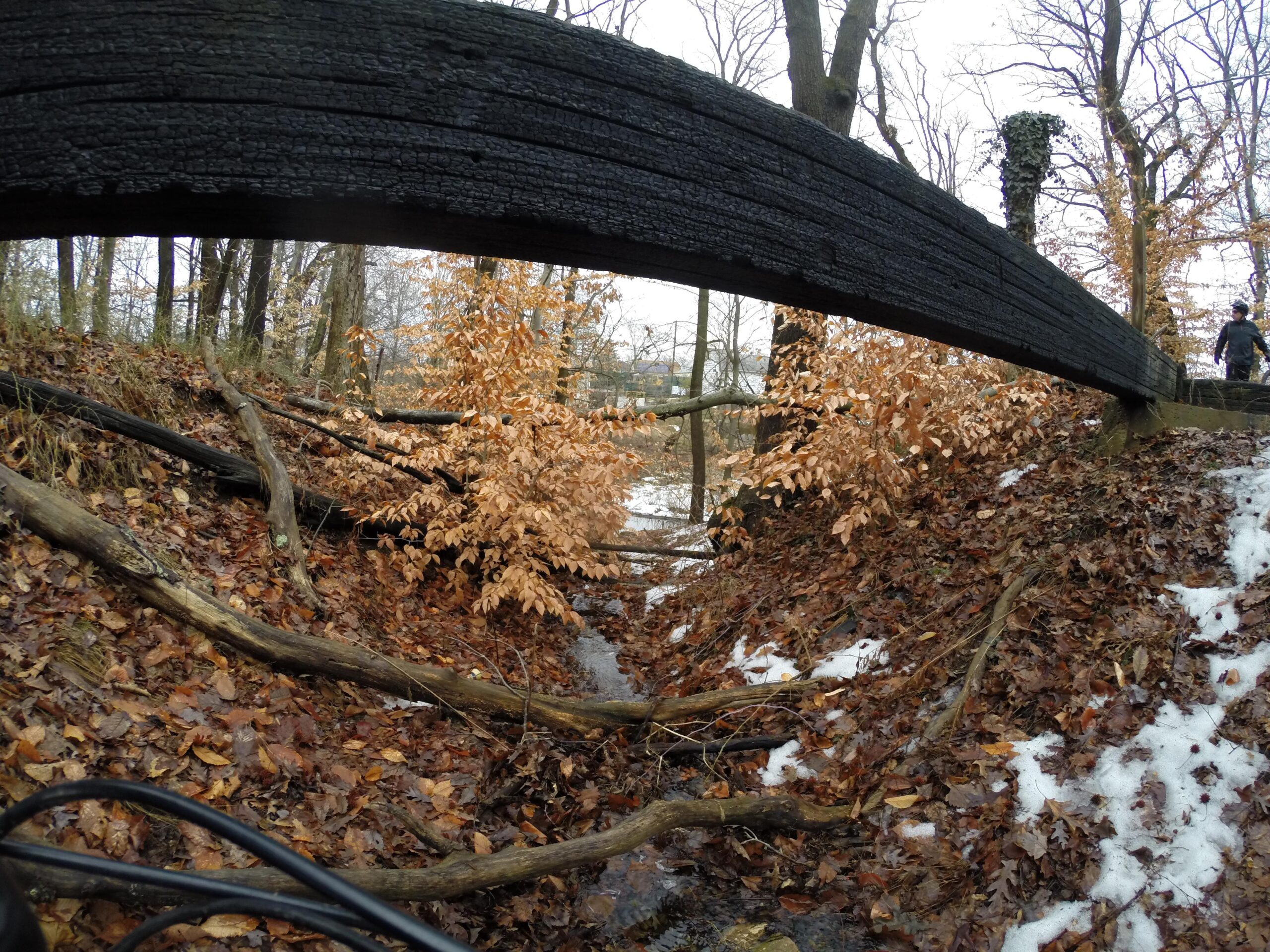 A wooded area with a charred log forming a bridge over a small stream. The ground is covered with fallen leaves and snow patches, and there are dry leaves on the shrubs nearby. In the background, a person can be seen walking along the trail. Wolfes Pond park mountain bike trail.
