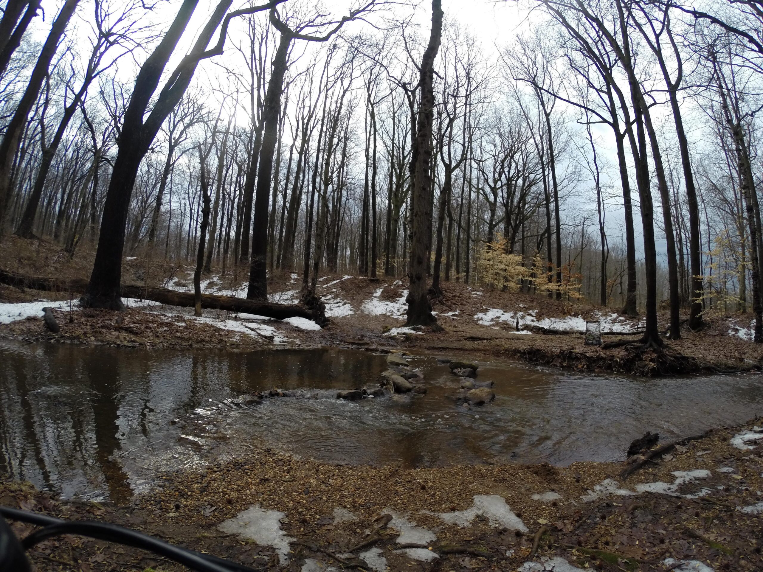 A serene view of a forest scene featuring bare trees in early spring, with a small stream running through the center. Fallen leaves cover the ground, and remnants of snow are visible on the landscape. The sky is partly cloudy, suggesting a cool, overcast day. Wolfes Pond park mountain bike trail.