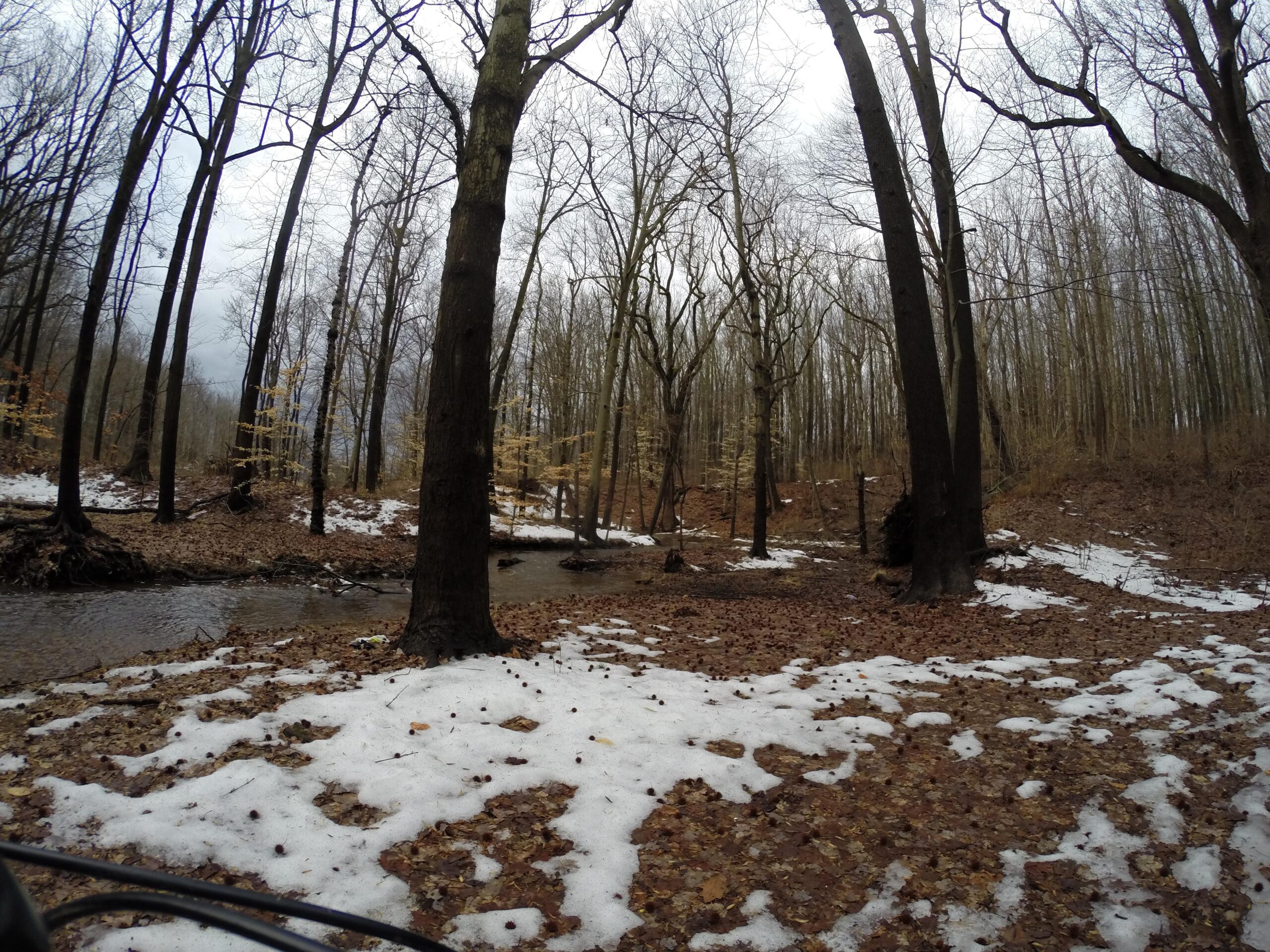 A wooded landscape featuring tall, barren trees against a gray sky. The ground is covered with fallen leaves and patches of melting snow, while a small stream flows through the scene, reflecting the overcast atmosphere. Wolfes Pond park mountain bike trail.