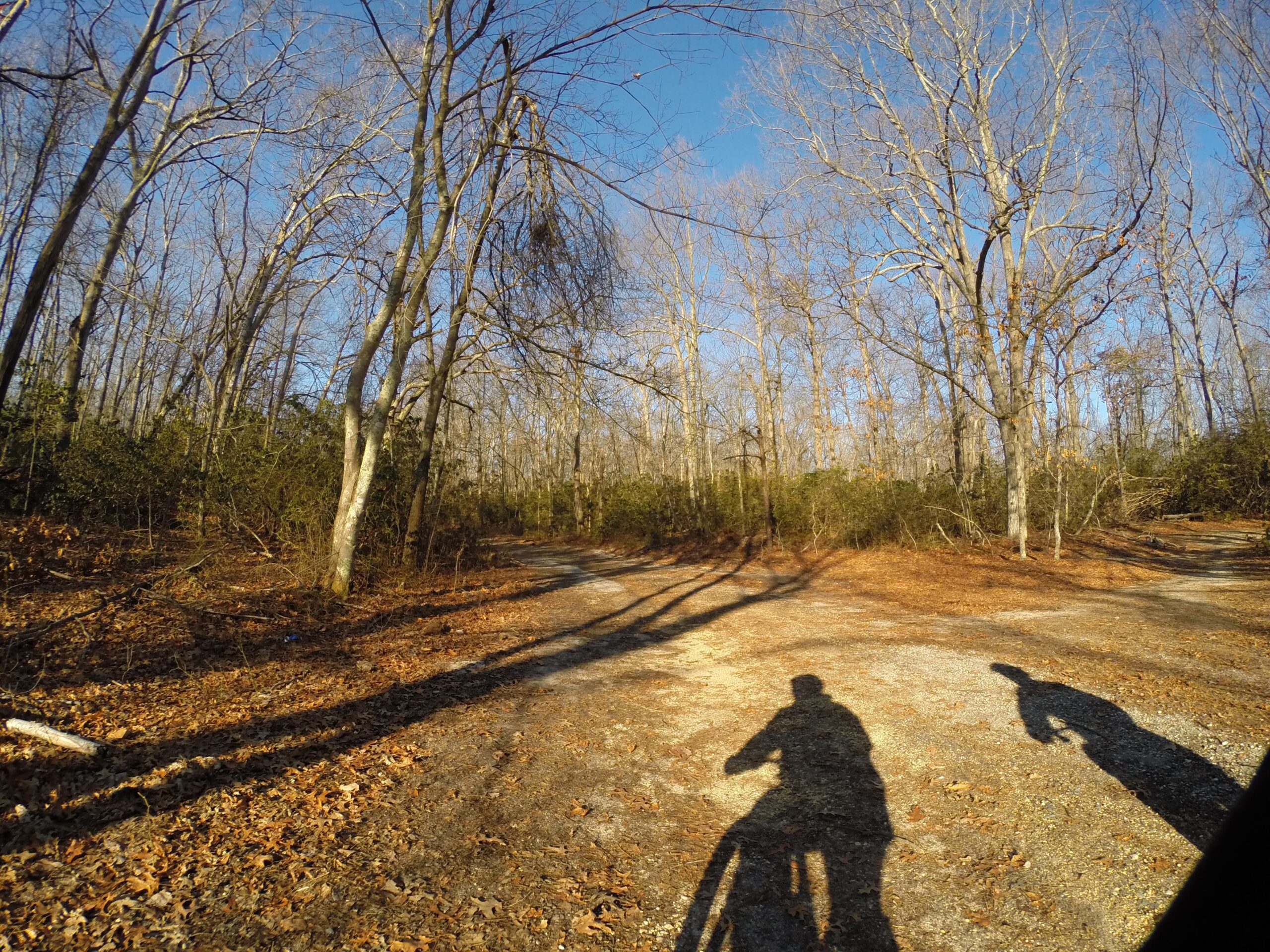 Motobecane NightTrain Bullet: Two shadows are cast on a gravel path surrounded by bare trees and shrubs in a wooded area. The scene is bright and sunny, with a clear blue sky. Leaves cover the ground, adding to the natural atmosphere of the landscape.