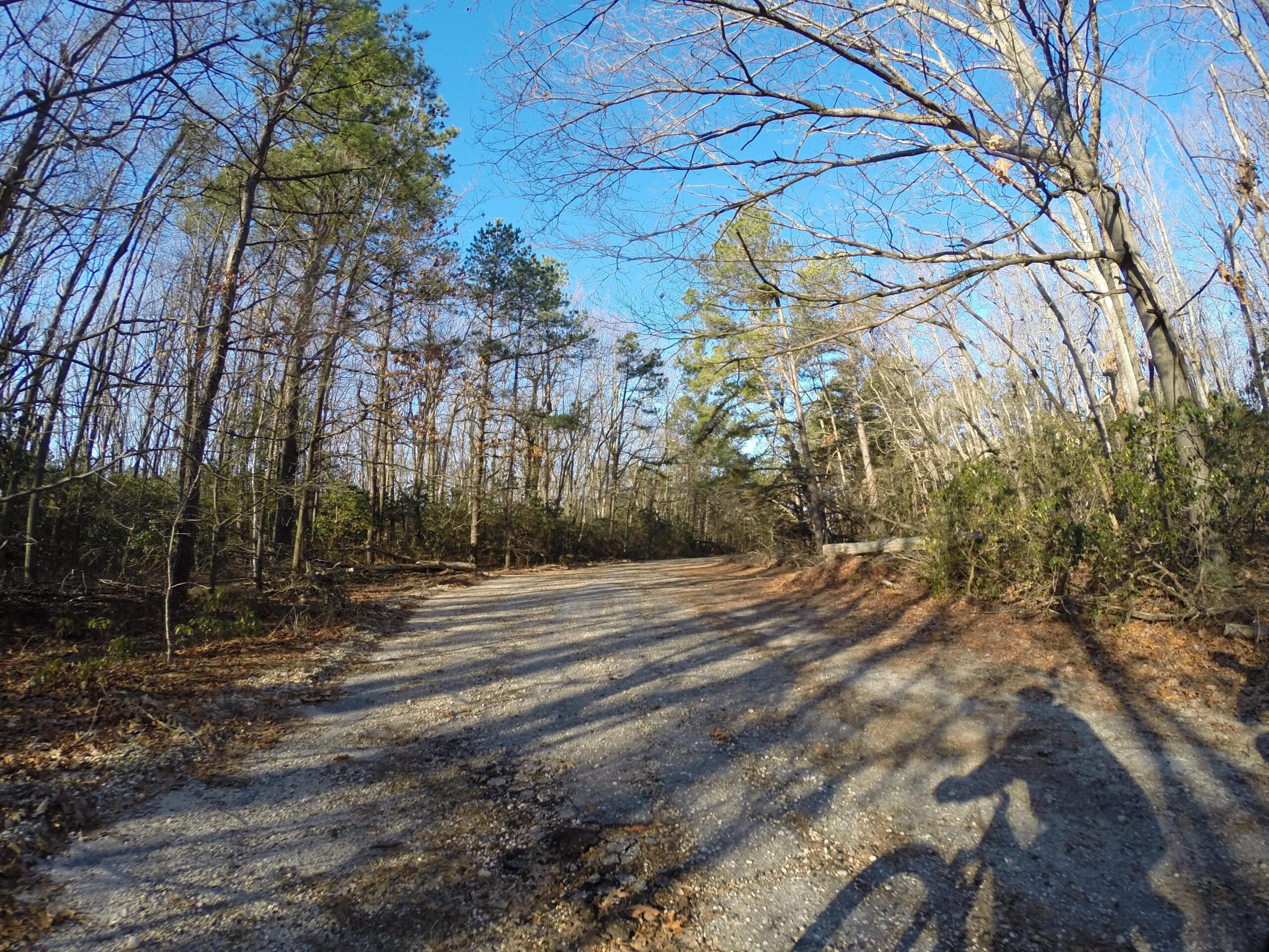 Motobecane NightTrain Bullet: A gravel path winding through a forest, with tall trees on either side and a clear blue sky overhead. The shadows of nearby trees stretch across the trail, and a cyclist's shadow is visible in the foreground, suggesting an outdoor biking activity.