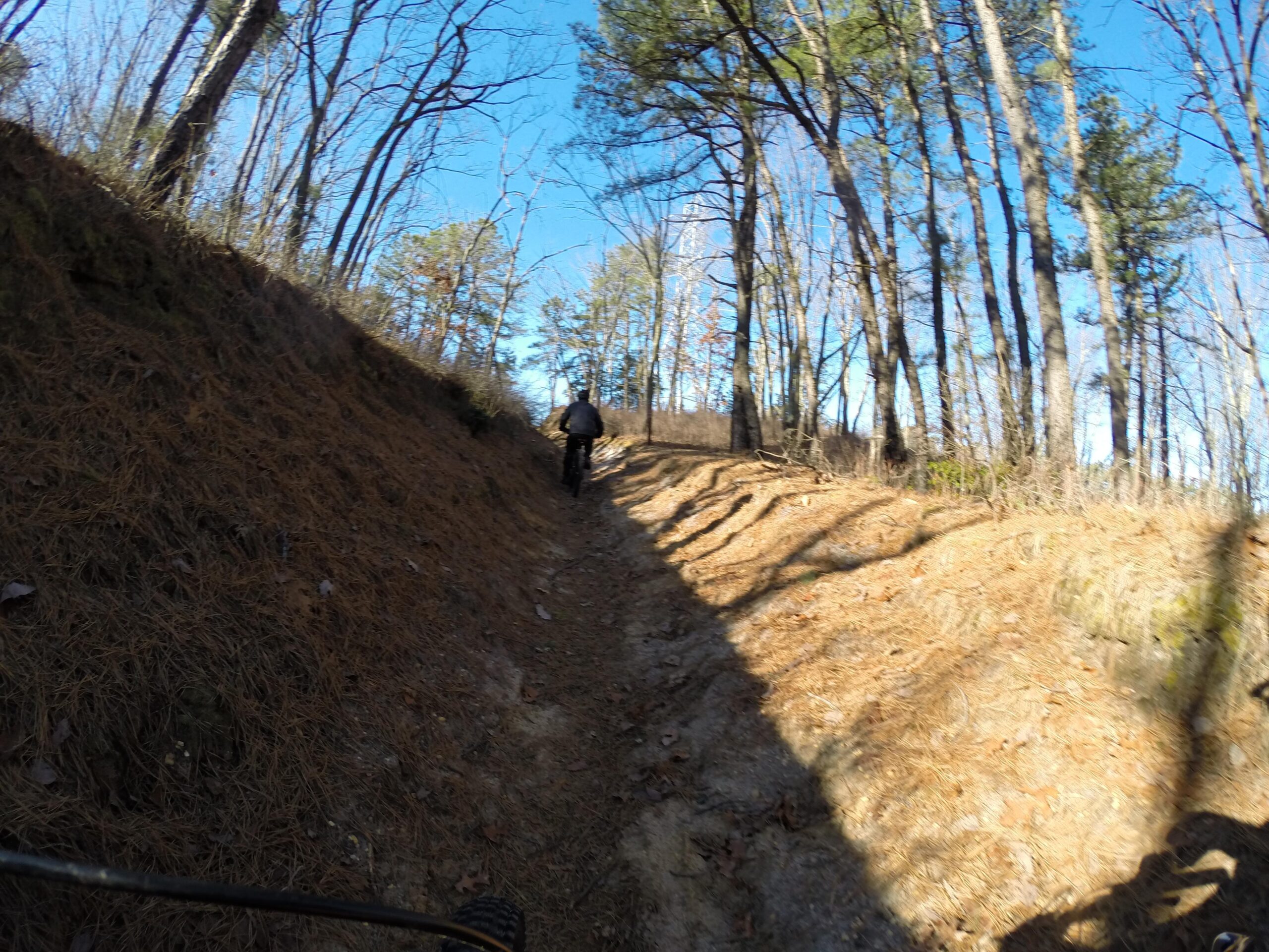 A person riding a mountain bike uphill on a narrow dirt trail surrounded by trees. The trail is lined with pine needles and the sky is clear blue, reflecting a sunny day in a forested area. Allaire State Park mountain bike trail.