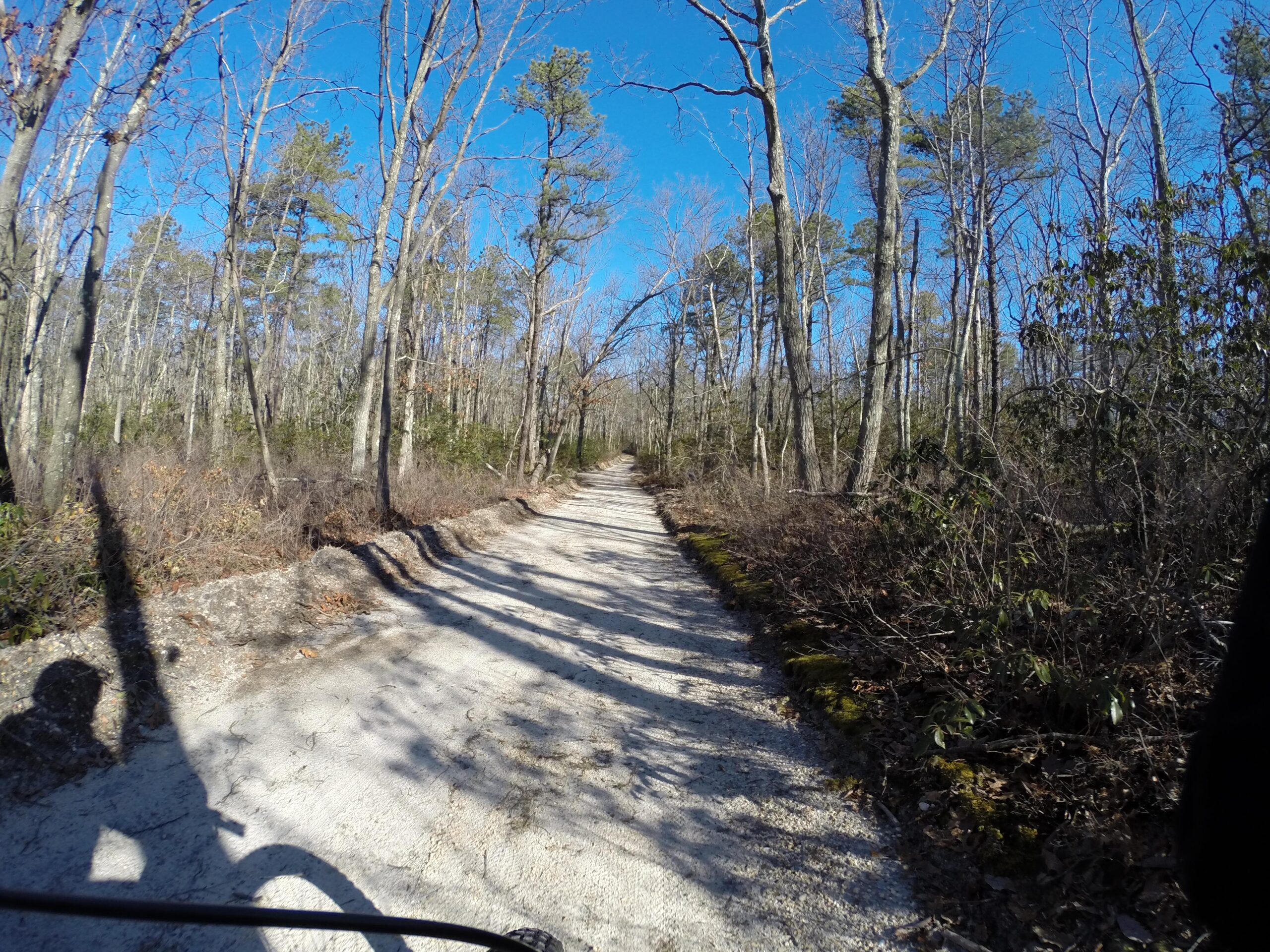 A dirt path winding through a forest, surrounded by bare trees on either side. The sky is clear and blue, with shadows cast on the ground. A portion of the rider's shadow can be seen in the foreground. Allaire State Park mountain bike trail.