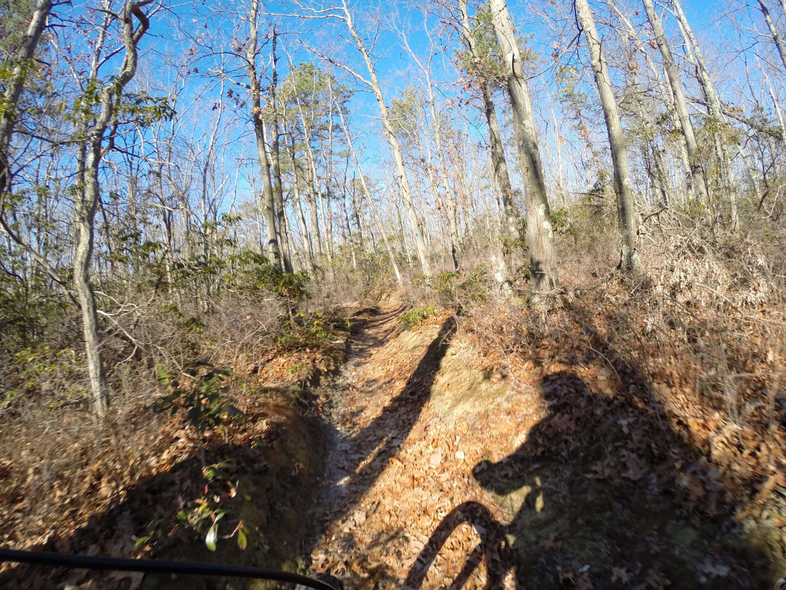 A winding dirt trail through a wooded area, surrounded by tall trees and scattered leaves, with a clear blue sky above. A shadow of a cyclist can be seen on the trail, suggesting movement along the path. Allaire State Park mountain bike trail.