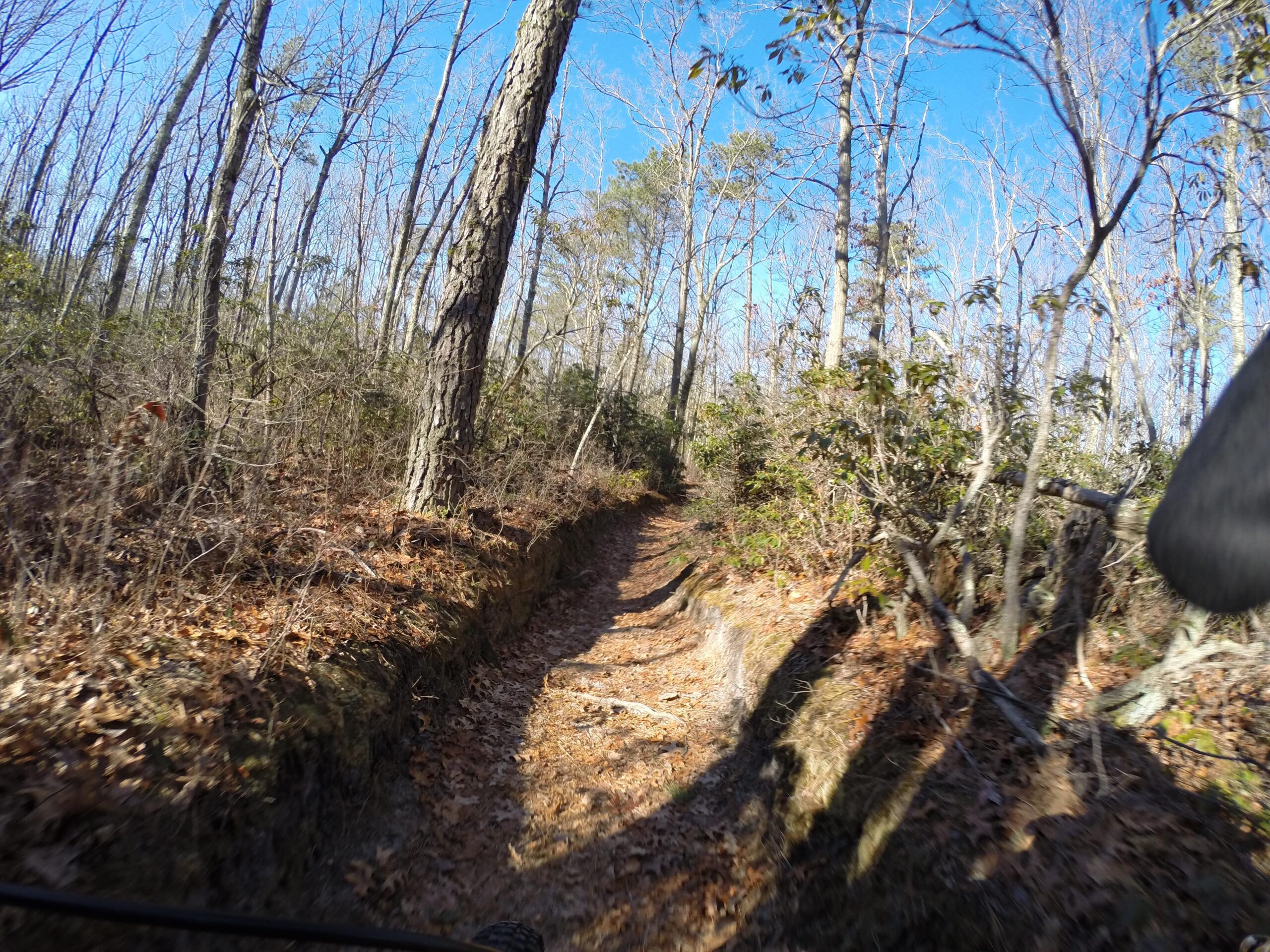 A narrow dirt trail winding through a wooded area, flanked by tall, bare trees and scattered autumn leaves on the ground, under a clear blue sky. Allaire State Park mountain bike trail.