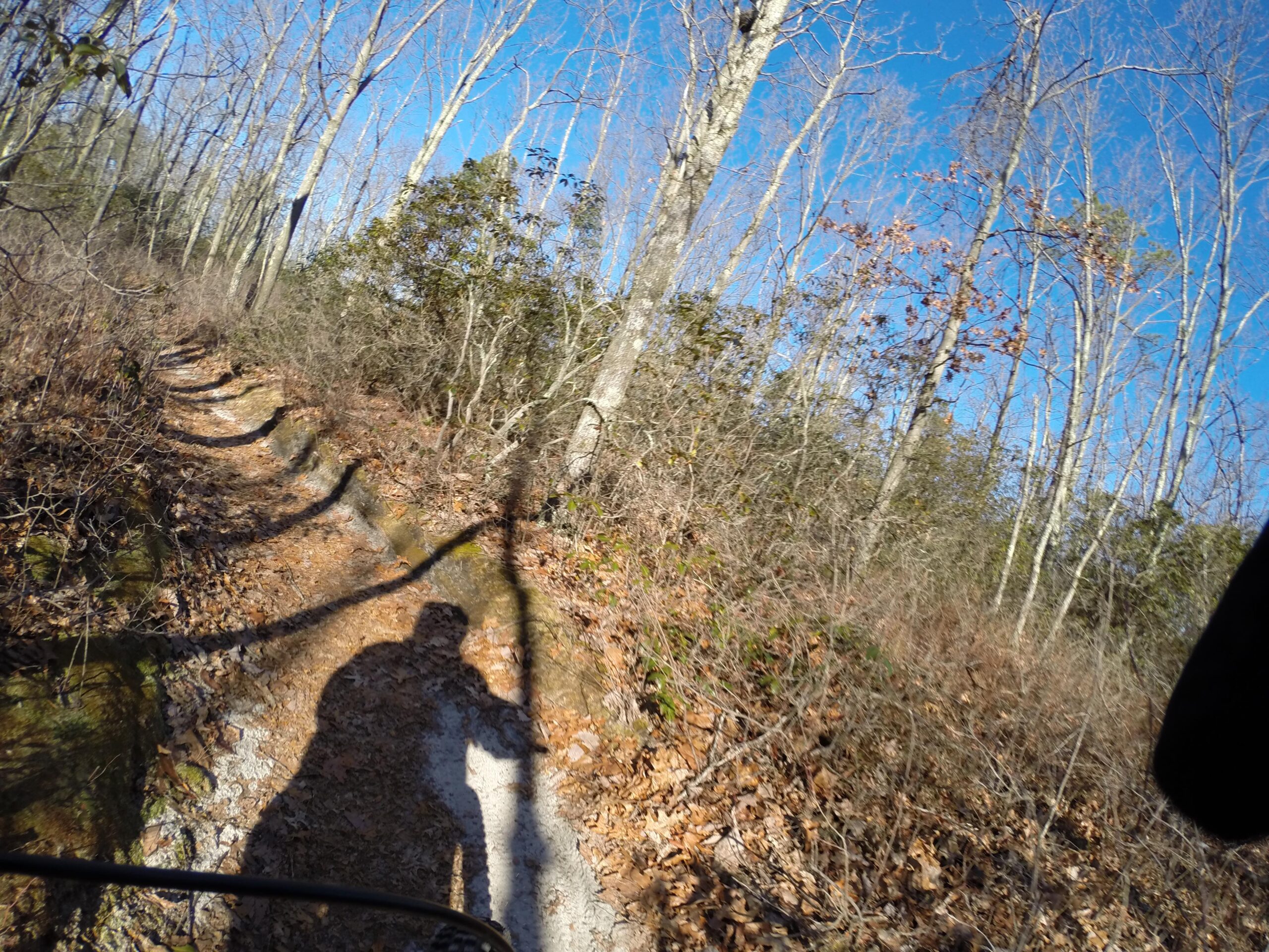 A shadow of a person on a narrow dirt trail surrounded by sparse trees and bushes, with a clear blue sky above. Fallen leaves cover the ground, indicating a natural setting in a wooded area. Allaire State Park mountain bike trail.