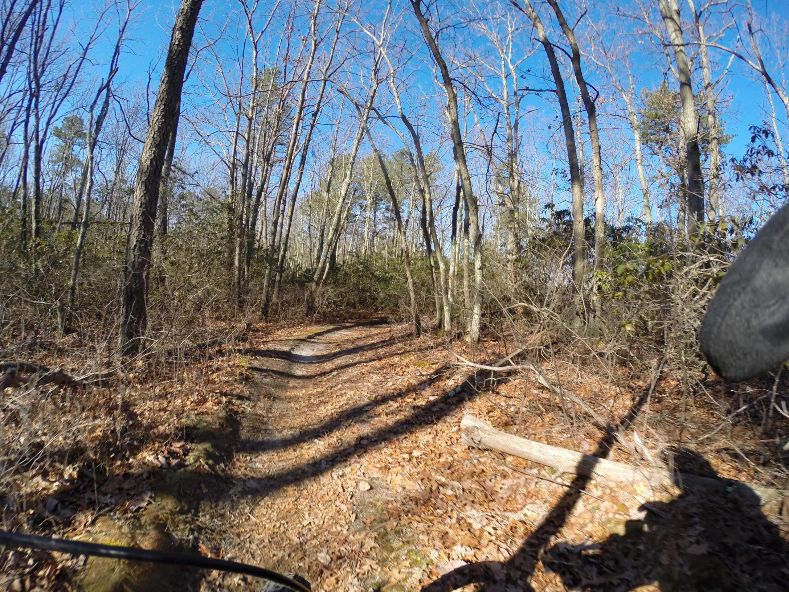 A forested trail in autumn, with a winding dirt path covered in fallen leaves. Tall, bare trees line the sides of the trail against a clear blue sky. The scene captures a serene and natural atmosphere, suggesting an invitation to explore the outdoors. Allaire State Park mountain bike trail.