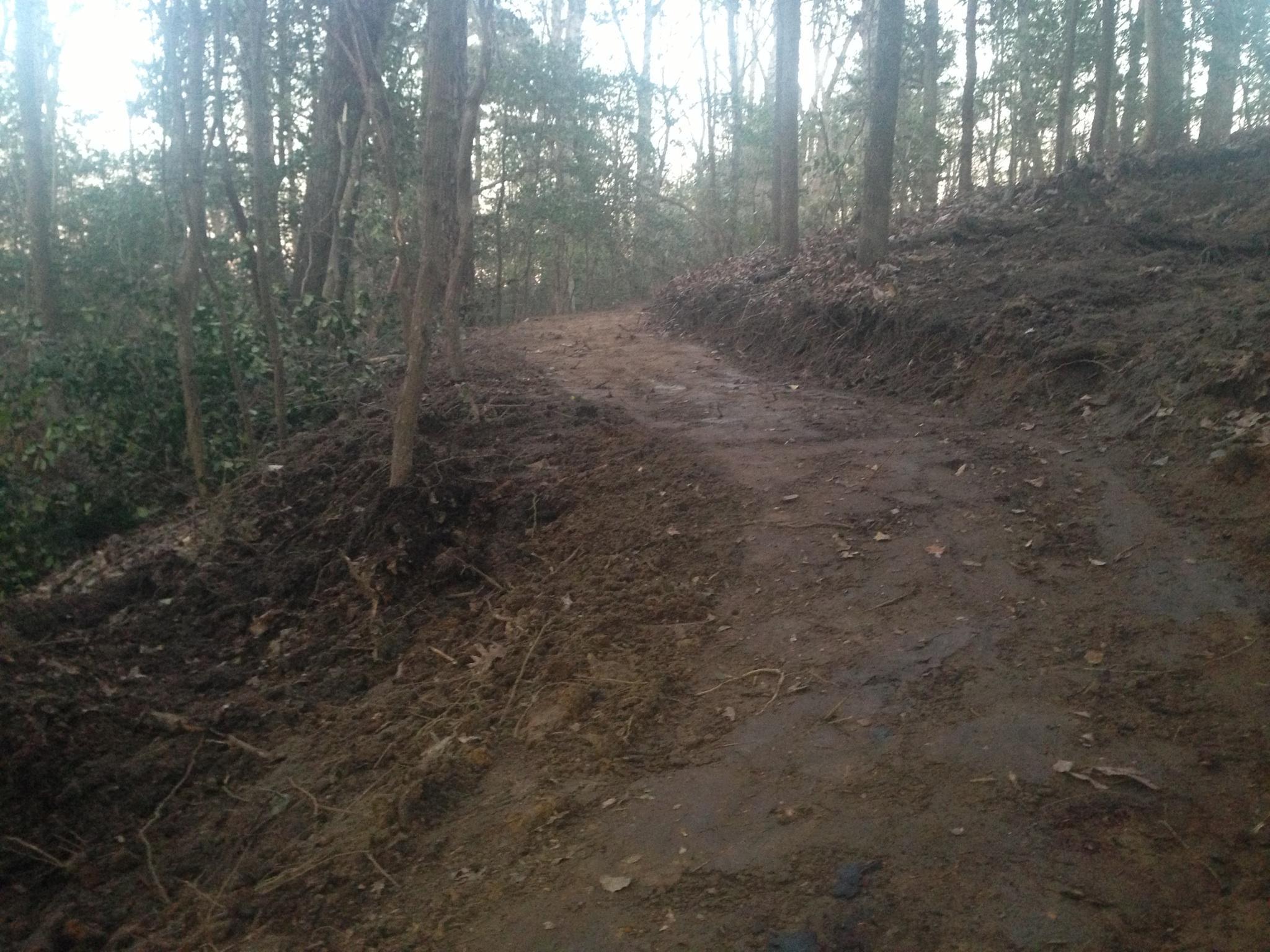 A winding dirt path through a wooded area, surrounded by trees and scattered leaves, with a slight elevation on one side and a clear view into the forest. The setting appears peaceful and natural, with dappled light filtering through the branches. Brown's Creek Nature Park mountain bike trail.