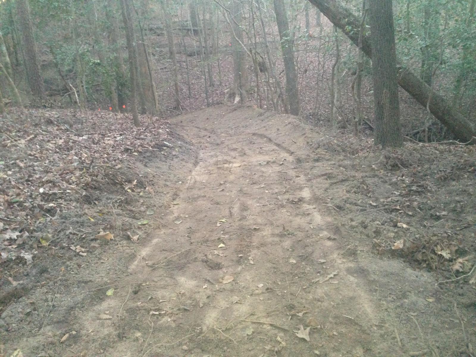 A cleared dirt path winding through a forest, bordered by fallen leaves and trees. The area appears semi-wooded with hints of orange safety flags in the background. Brown's Creek Nature Park mountain bike trail.