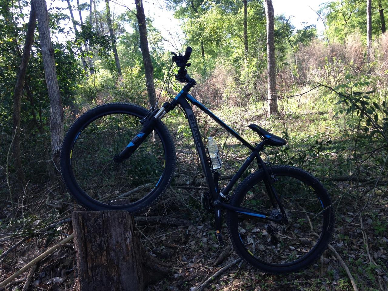 Motobecane NightTrain Bullet: A mountain bike propped upright on a tree stump in a forested area, surrounded by greenery and underbrush. Sunlight filters through the trees, highlighting the bike's frame and tires.