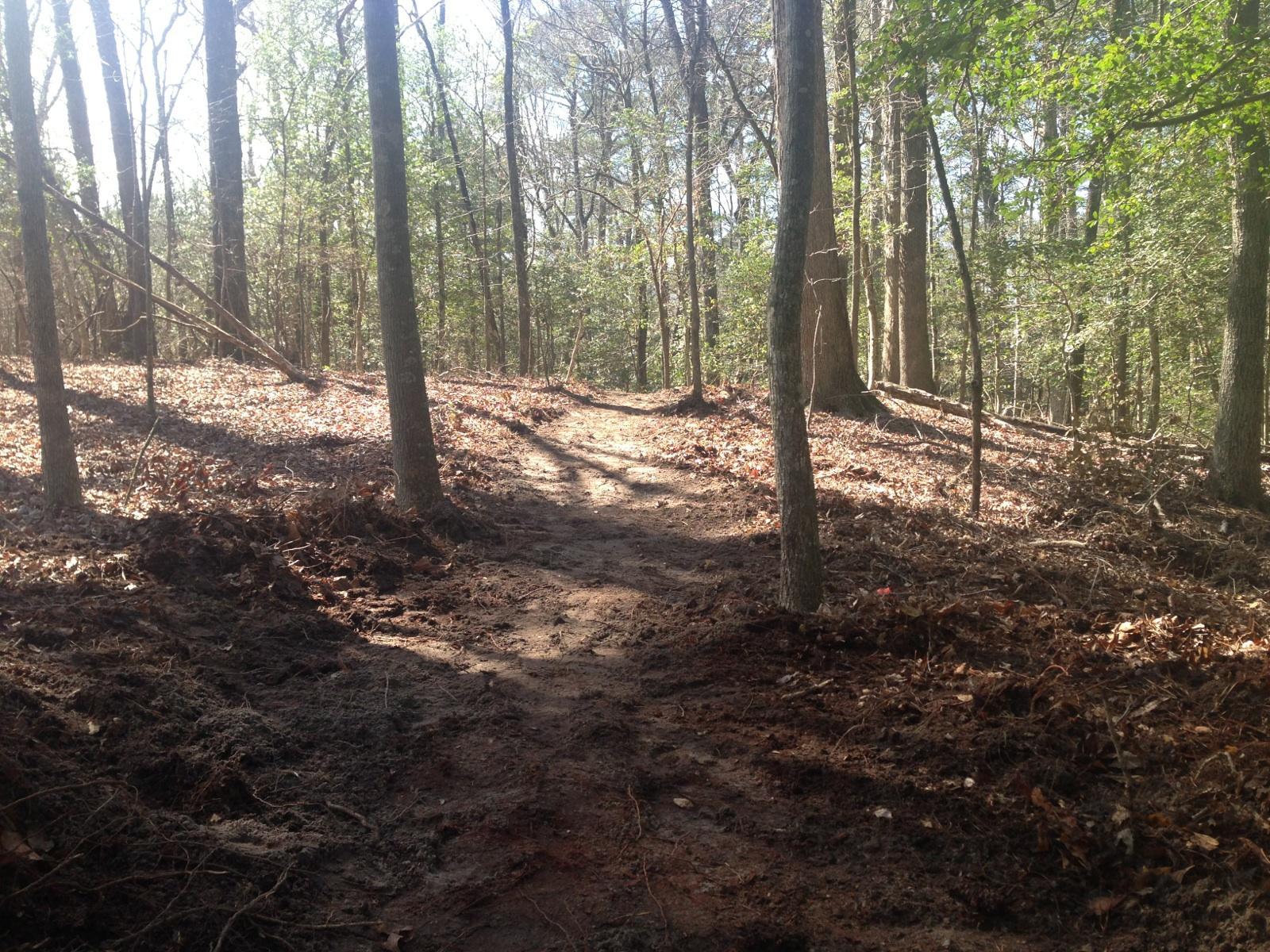 A dirt path winding through a forested area, surrounded by trees with green leaves and patches of sunlight filtering through. The ground is covered with dry leaves and loose soil, creating a natural, untouched atmosphere. Brown's Creek Nature Park mountain bike trail.