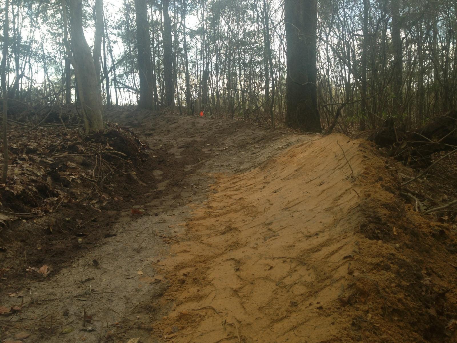 A winding dirt trail in a wooded area, featuring freshly graded soil along the sides and scattered leaves on the ground. Lush trees line the path, with a hint of soft light filtering through the canopy above. A small orange flag is visible in the distance, indicating a feature or marker on the trail. Brown's Creek Nature Park mountain bike trail.
