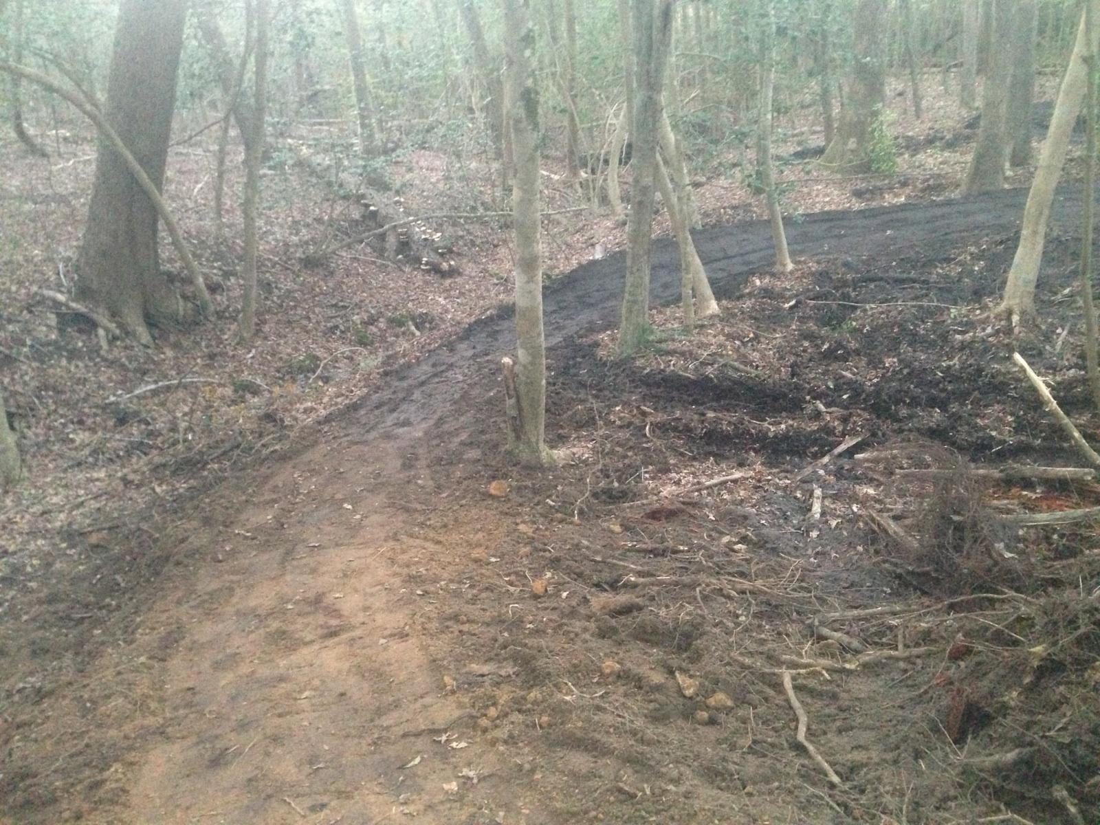 A dirt path winding through a wooded area, surrounded by trees and scattered fallen leaves. The path appears freshly cleared, showcasing a mix of dark soil and roots, with some areas showing signs of excavation. Brown's Creek Nature Park mountain bike trail.