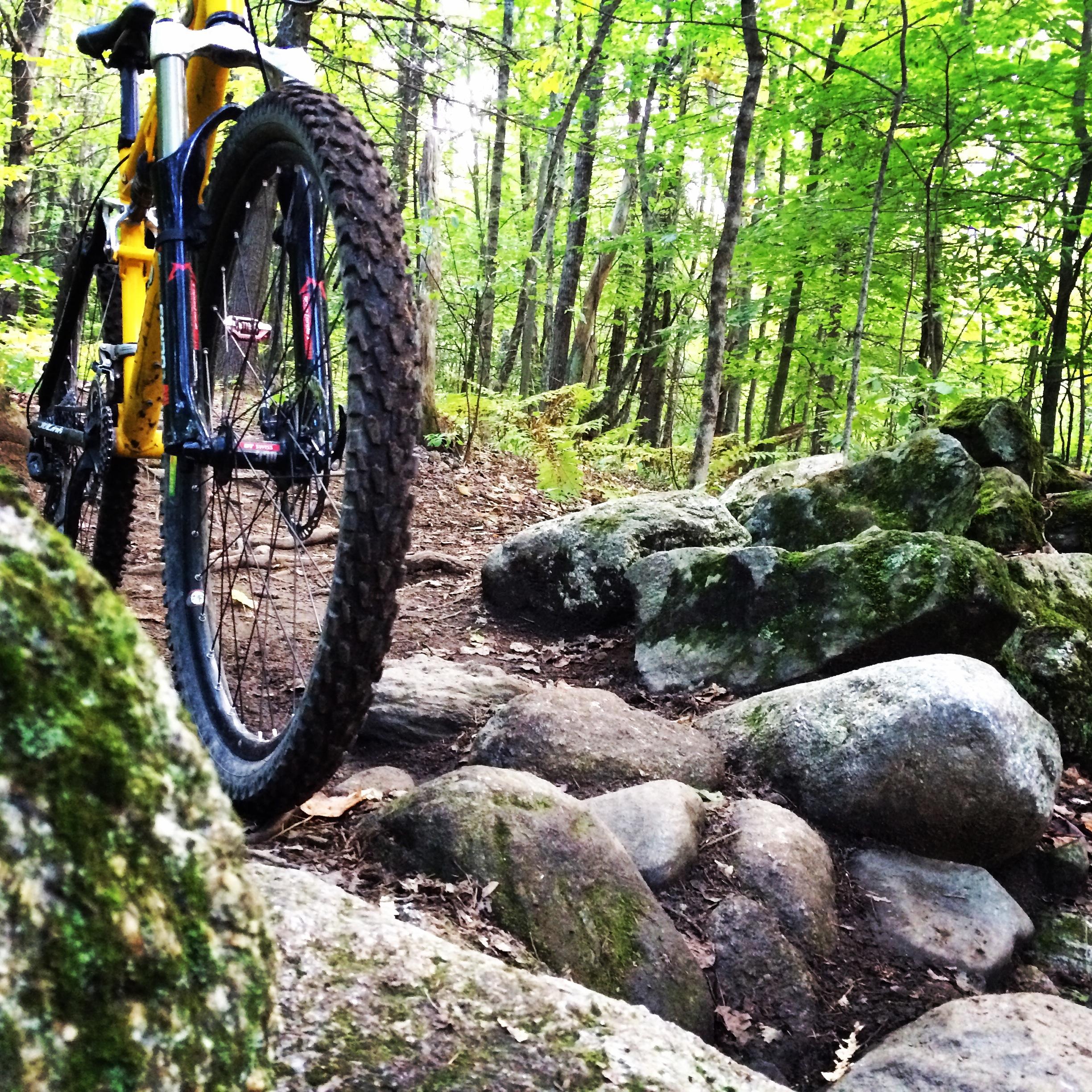 Rocky Mountain Element: A close-up view of a mountain bike resting on rocky terrain within a lush forest, surrounded by green trees and foliage. The bike's rear wheel is prominently displayed, showcasing its thick, textured tire, while moss-covered rocks are scattered along the path. The scene captures a serene, natural setting perfect for outdoor biking adventures.
