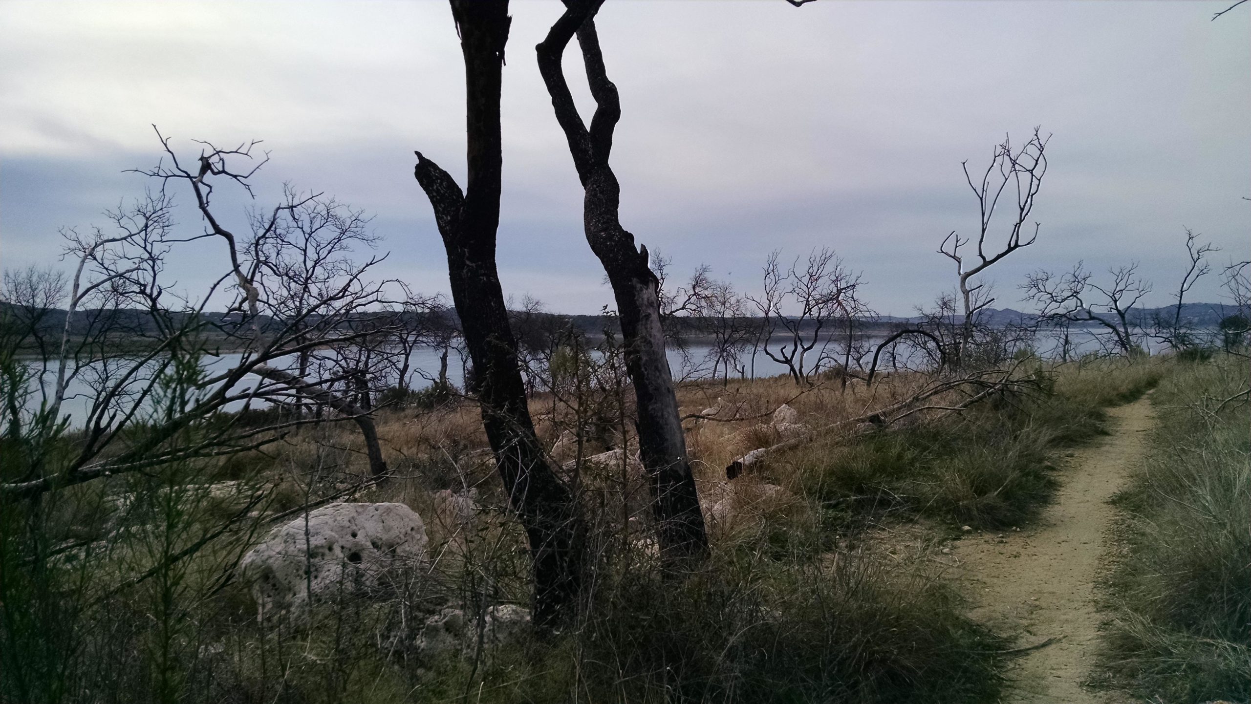 A scenic view of a pathway bordered by dry trees and sparse grass, leading toward a calm body of water in the background. The sky is overcast, creating a tranquil atmosphere. Madrone Trail mountain bike trail.