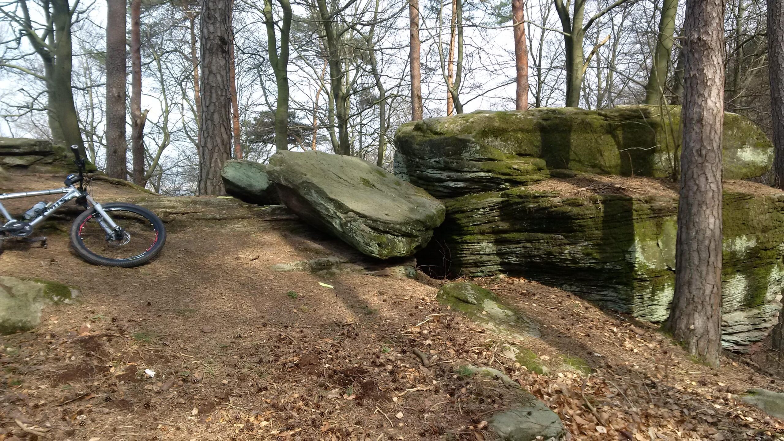 A mountain bike leaning against a rocky outcrop in a forested area, surrounded by trees. The ground is covered with pine needles and scattered leaves, with notable large rocks partially covered in moss. The scene is illuminated by natural light, indicating a clear day. Landstuhl Trail mountain bike trail.