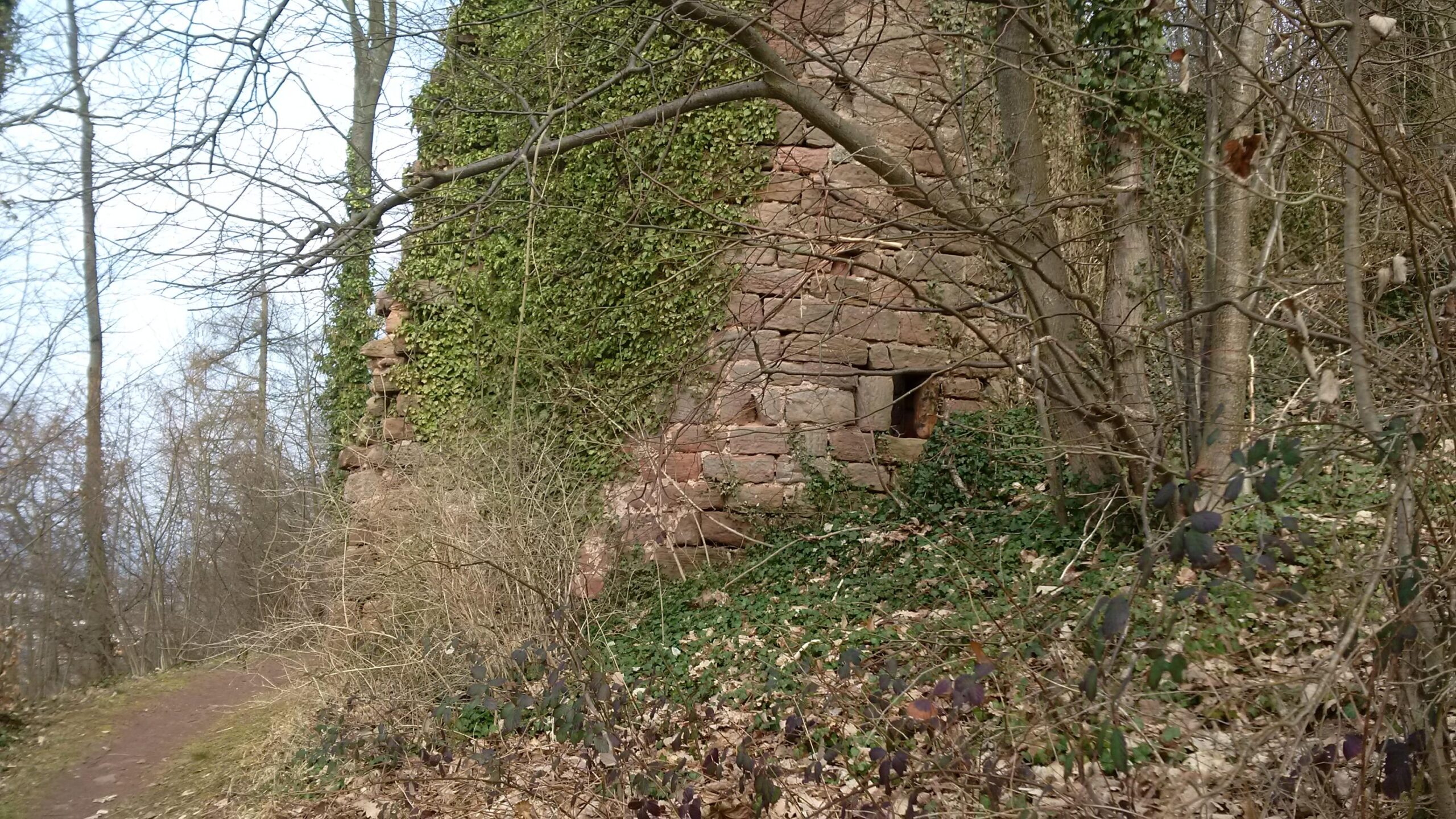 A partially overgrown stone wall remains visible amidst trees and underbrush, with vines climbing its surface. A small window opening is embedded in the wall, hinting at the structure's former purpose. The surrounding area appears untended, with fallen leaves scattered on the ground and the path winding alongside the ruins. Landstuhl Trail mountain bike trail.