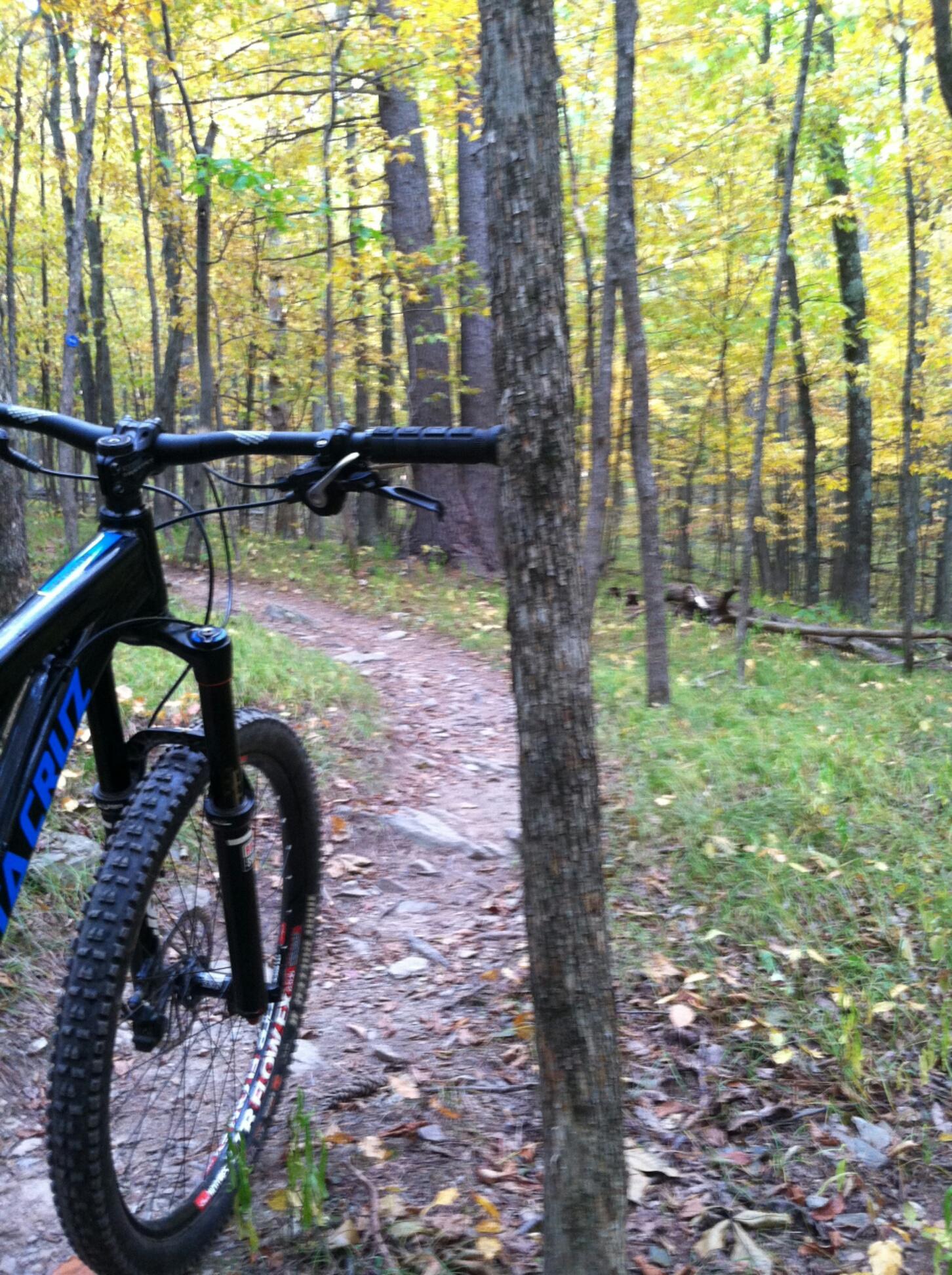 A mountain bike with black handlebars and a blue frame is positioned beside a tree, with a winding dirt trail visible in a forest. The scene is filled with autumn foliage, showcasing vibrant yellow and green leaves. The ground is covered with scattered leaves and rocks, indicating a natural outdoor environment. Pittstown State Forest mountain bike trail.