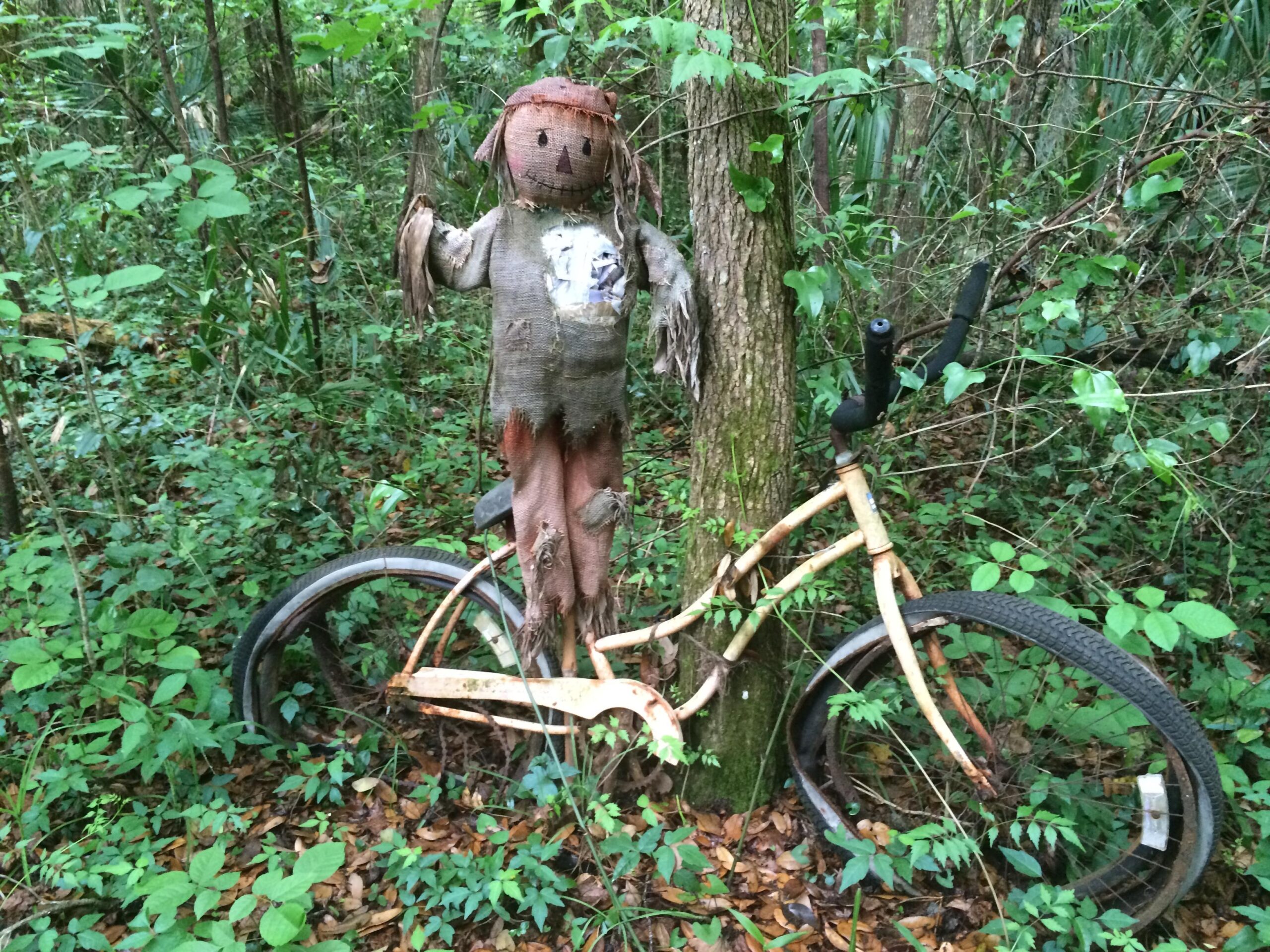A weathered scarecrow made of burlap stands next to an old, rusty bicycle leaning against a tree in a dense forest. Lush green foliage surrounds both the scarecrow and the bike, emphasizing the overgrown, natural setting. Chuck Lennon Park mountain bike trail.