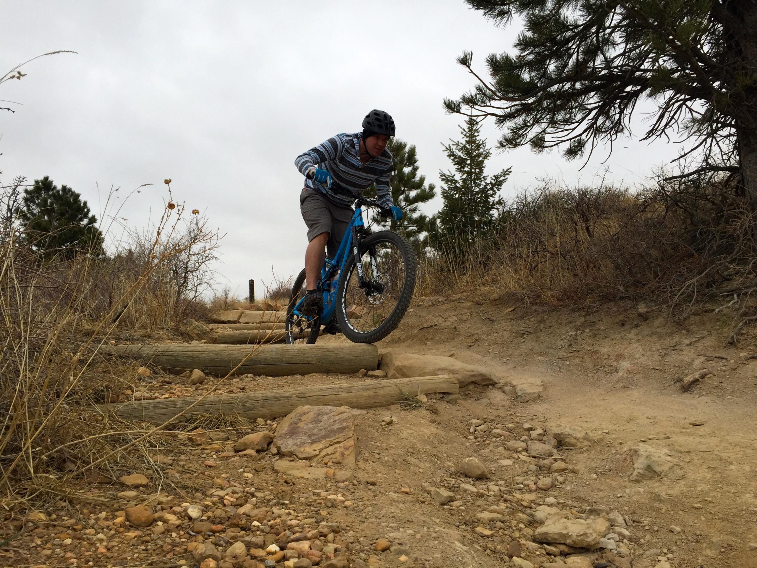 A mountain biker wearing a helmet and casual attire rides over a series of wooden beams on a dirt trail surrounded by sparse vegetation and trees under a cloudy sky. Marshall Road Open Spaces mountain bike trail.