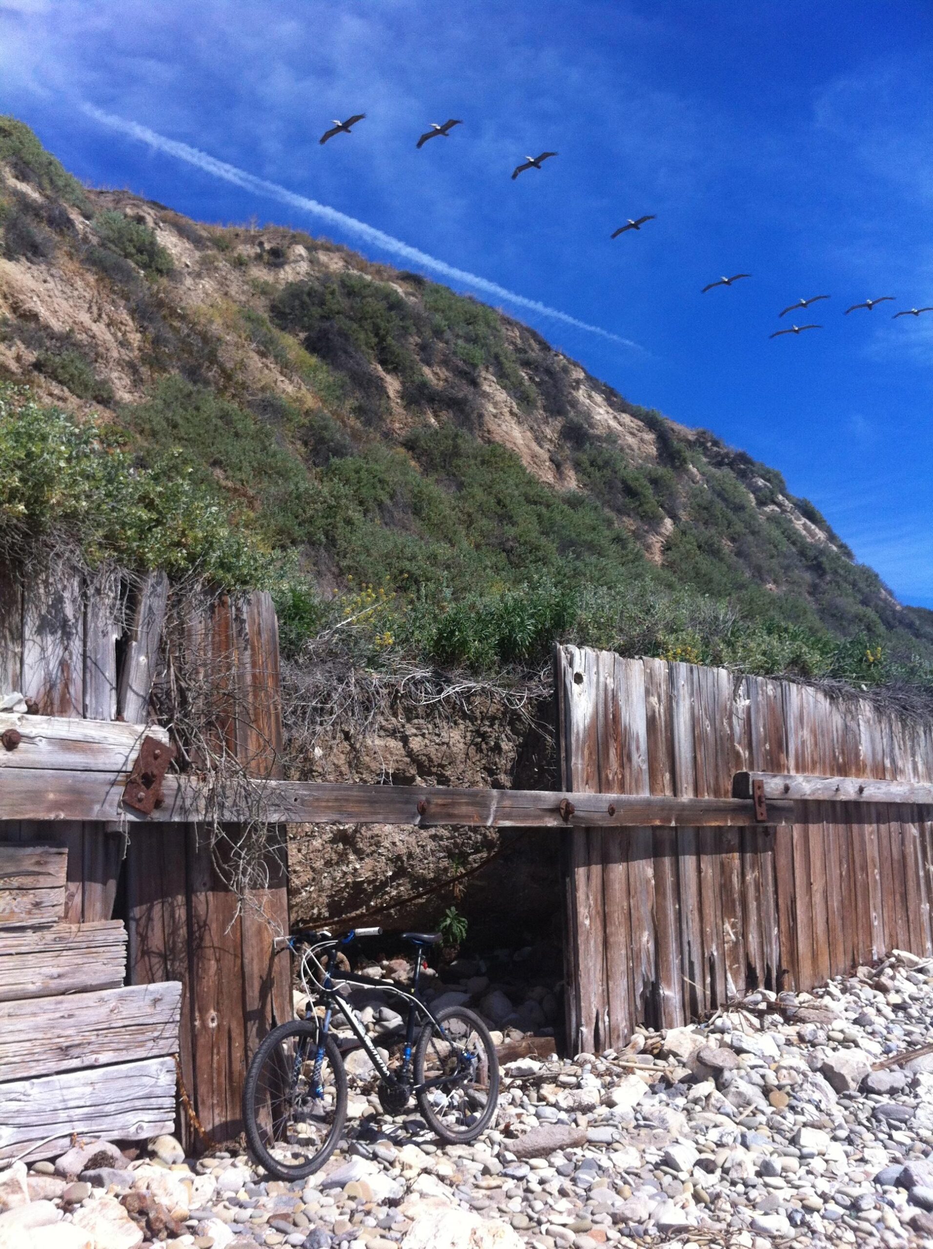 Specialized Hardrock Sport Disc: A mountain bike resting against a weathered wooden structure along a rocky beach, with a backdrop of lush green hillside and a clear blue sky filled with flying birds.