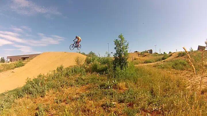 A mountain biker performing a jump over a dirt ramp at a bike park, surrounded by green grass and small shrubs under a clear blue sky. Valmont Bike Park mountain bike trail.