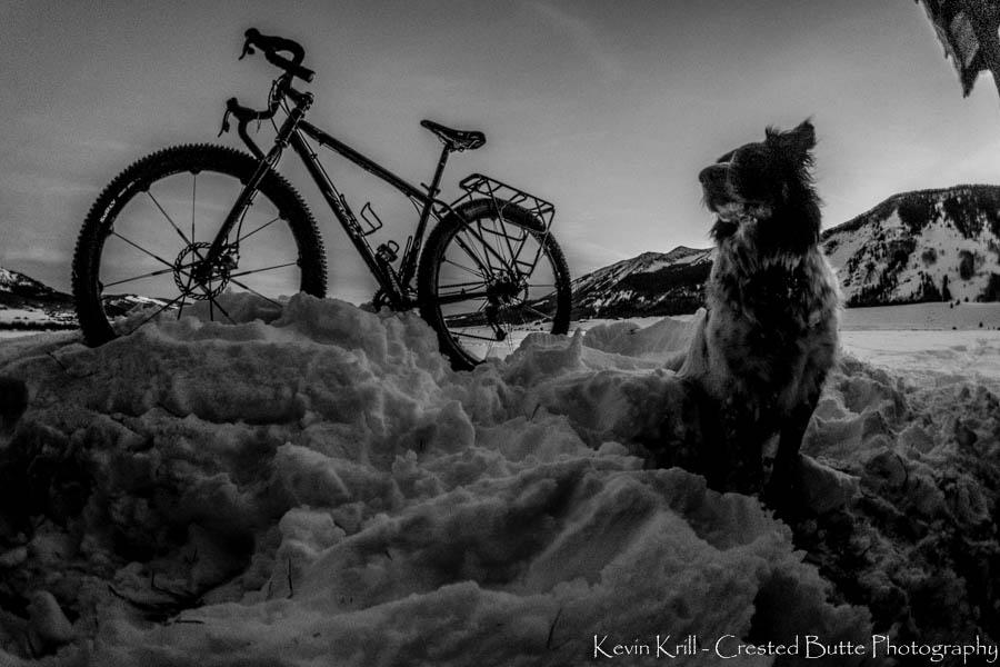 Salsa Fargo: A black and white photo of a bicycle parked on a snow-covered landscape, with a dog sitting nearby. In the background, there are snow-capped mountains and a cloudy sky. The scene captures a serene winter atmosphere.