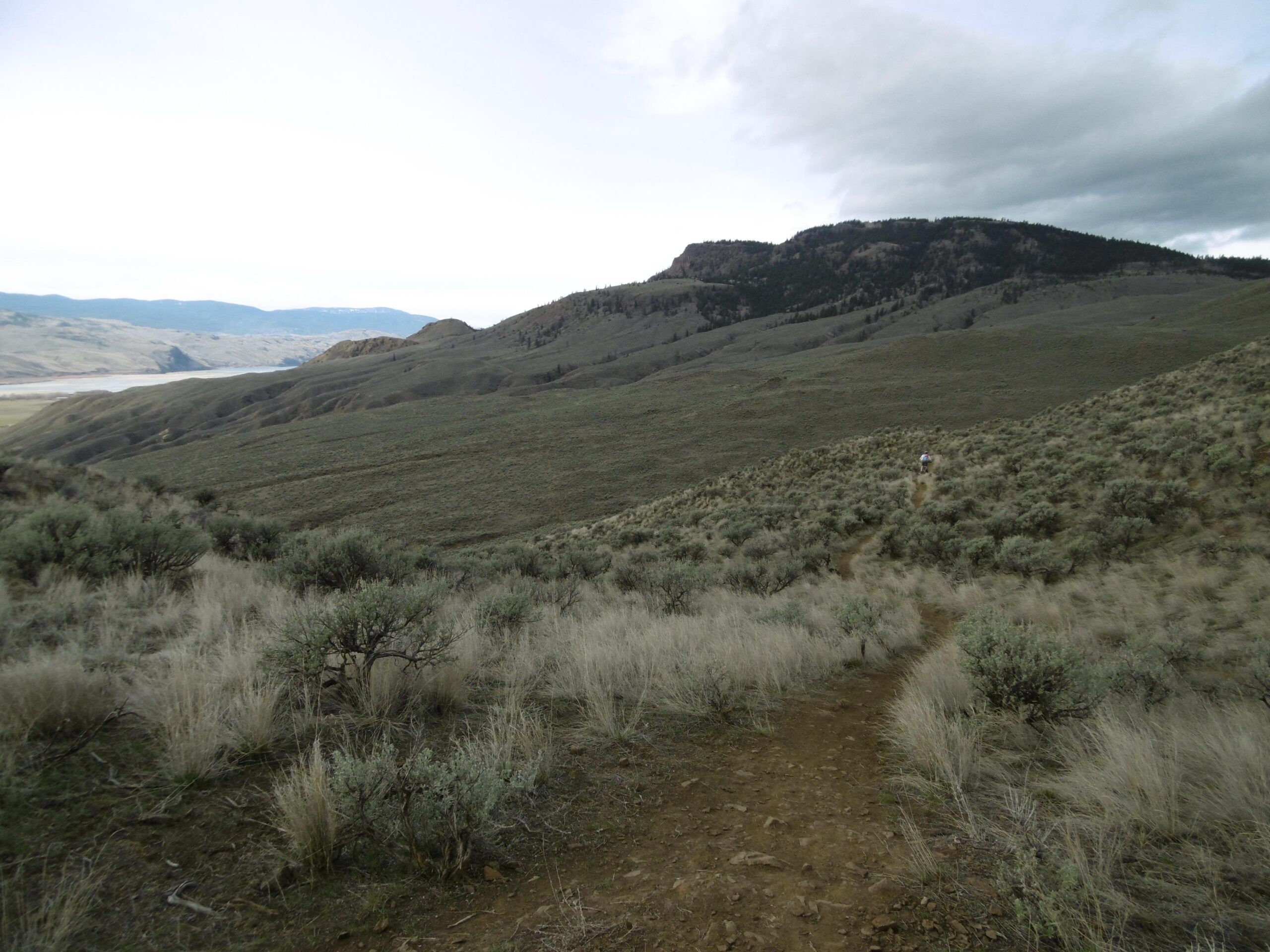 A winding dirt trail leads through grassy hills and sparse shrubs, with a mountainous backdrop under a cloudy sky. The landscape features rolling terrain, with a river visible in the distance. Batchelor Heights mountain bike trail.